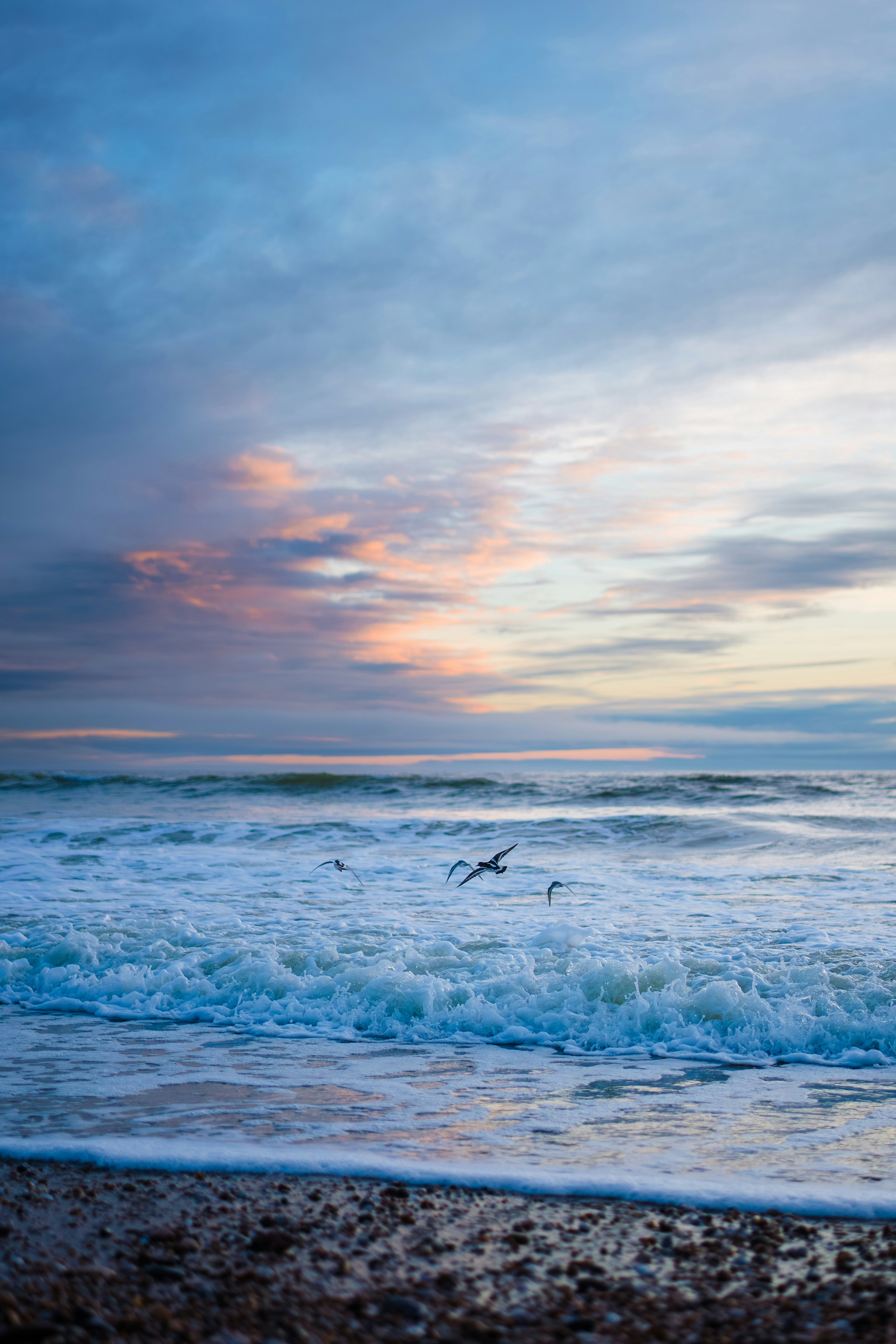 Seagulls fly over ocean waves at sunset