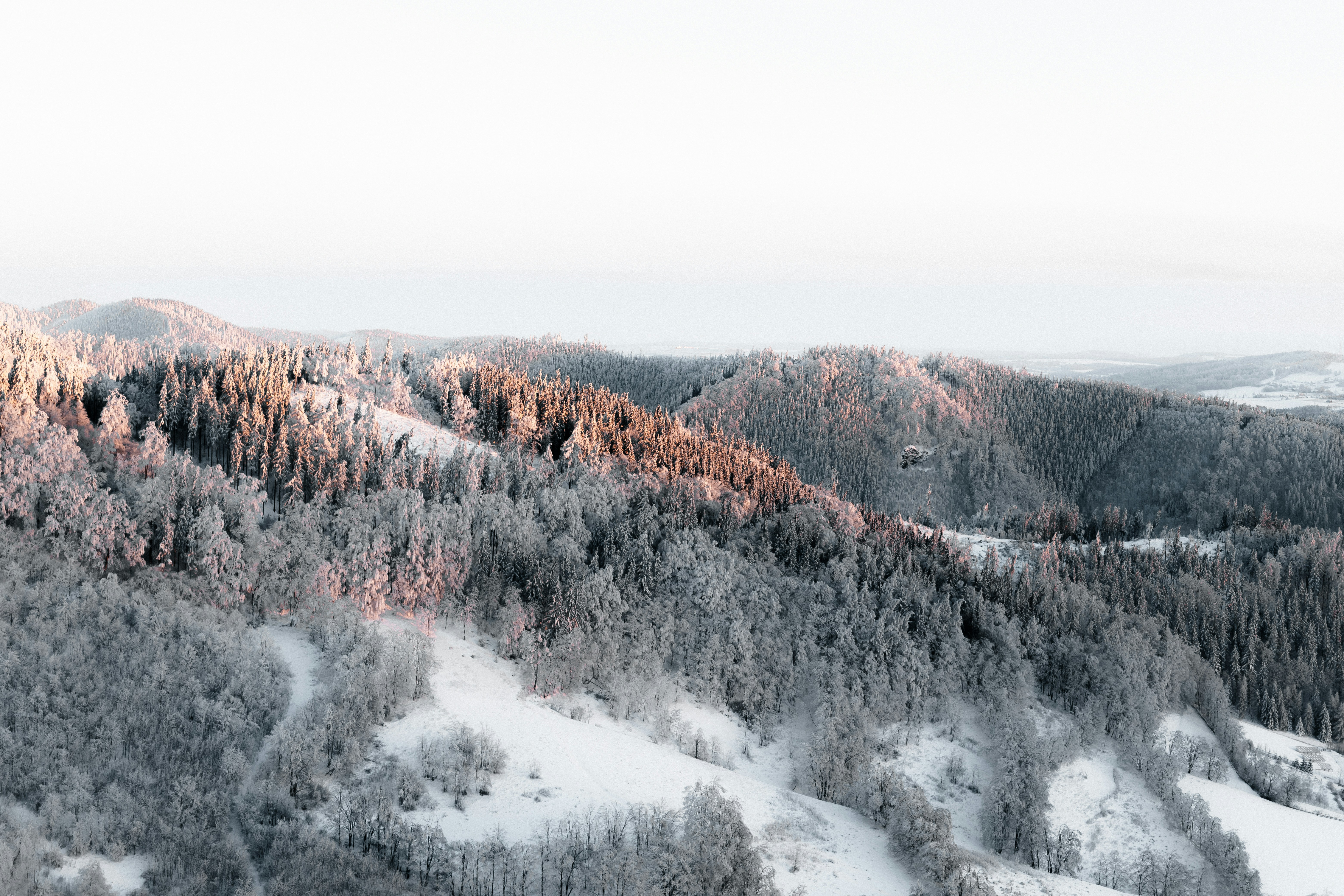 Photo by whitegreenartichoke