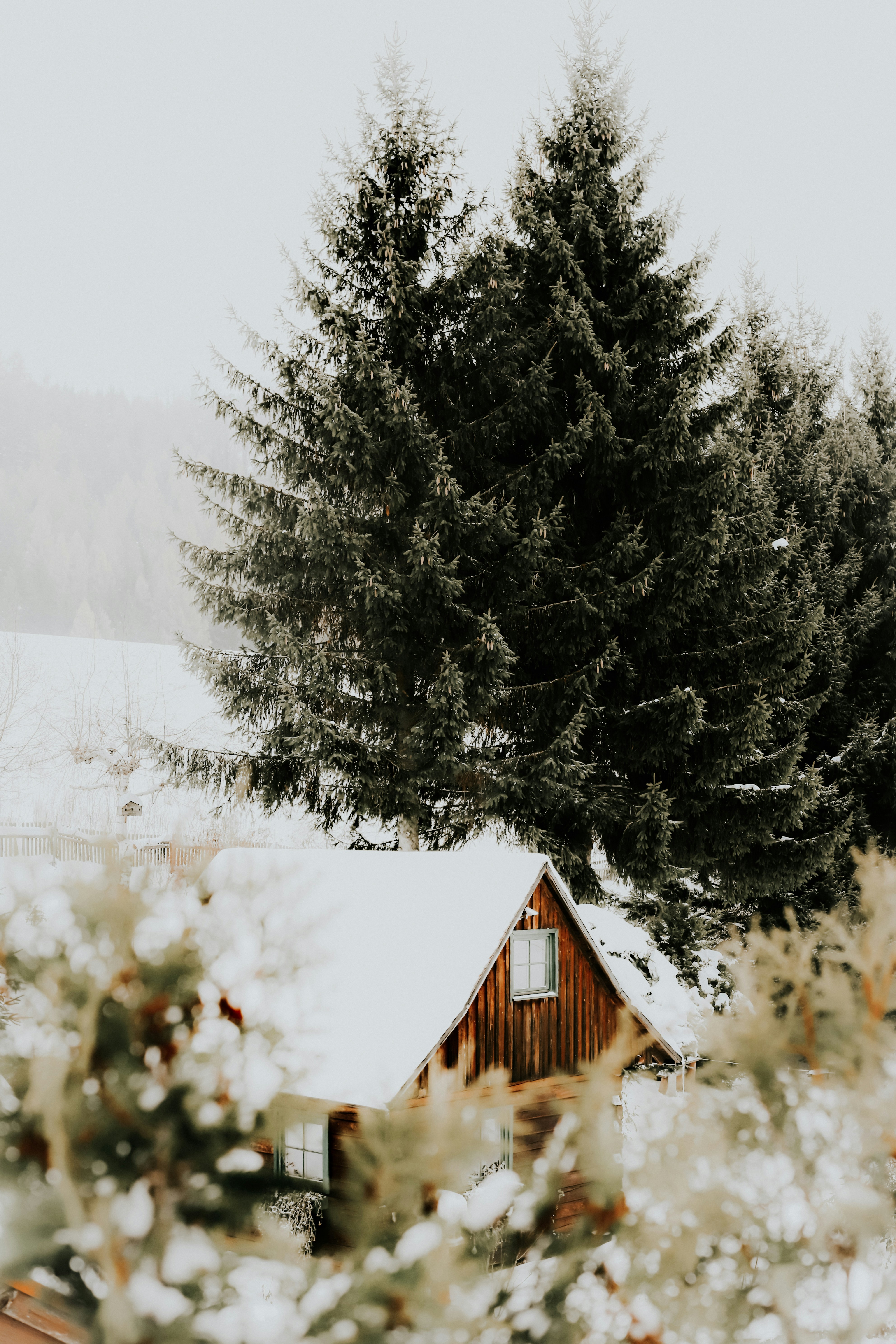 Photo by whitegreenartichoke