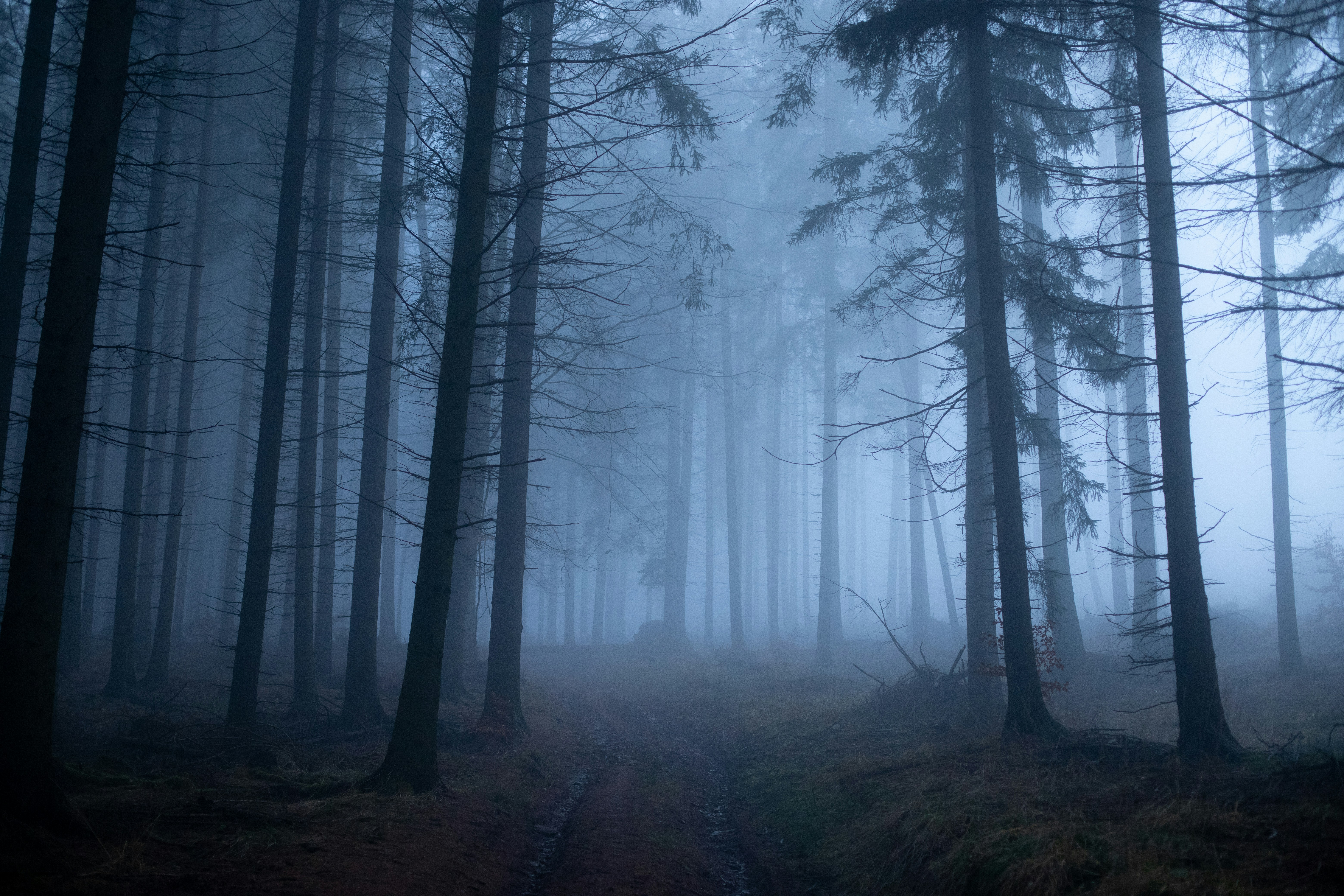 Photo by whitegreenartichoke