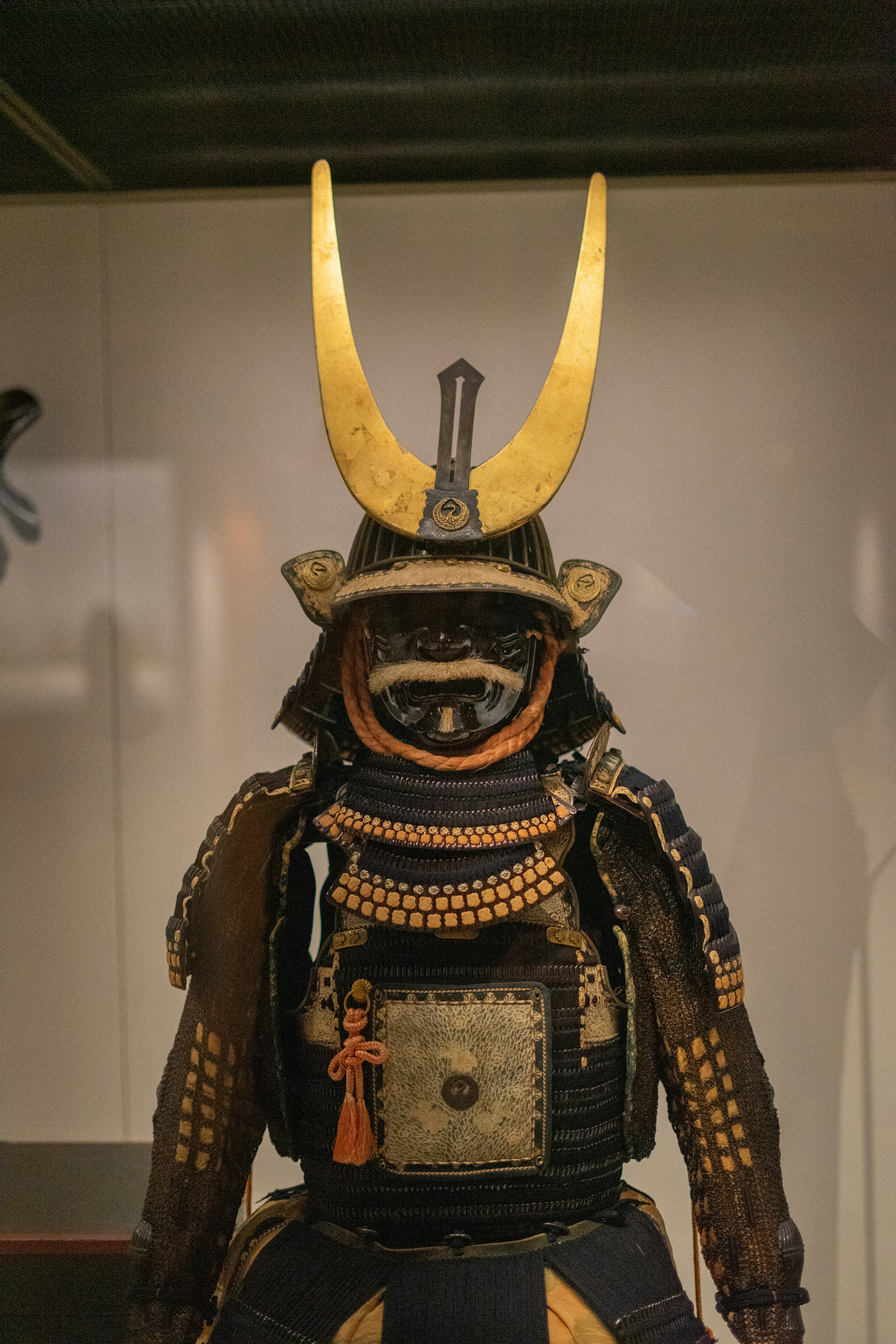 Traditional martial arts training in authentic dojo setting