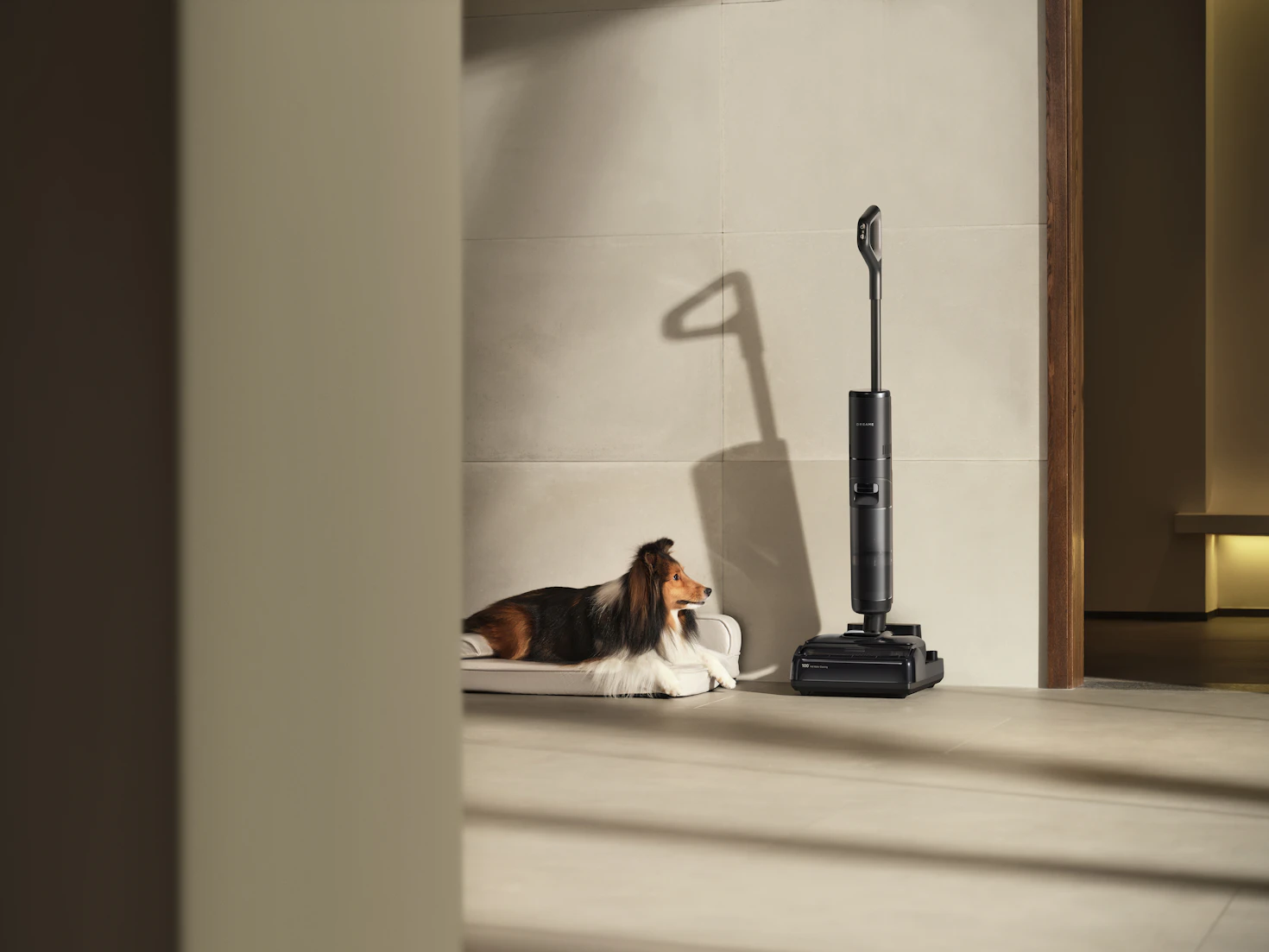 Upright vacuum cleaning carpet in a bright living room