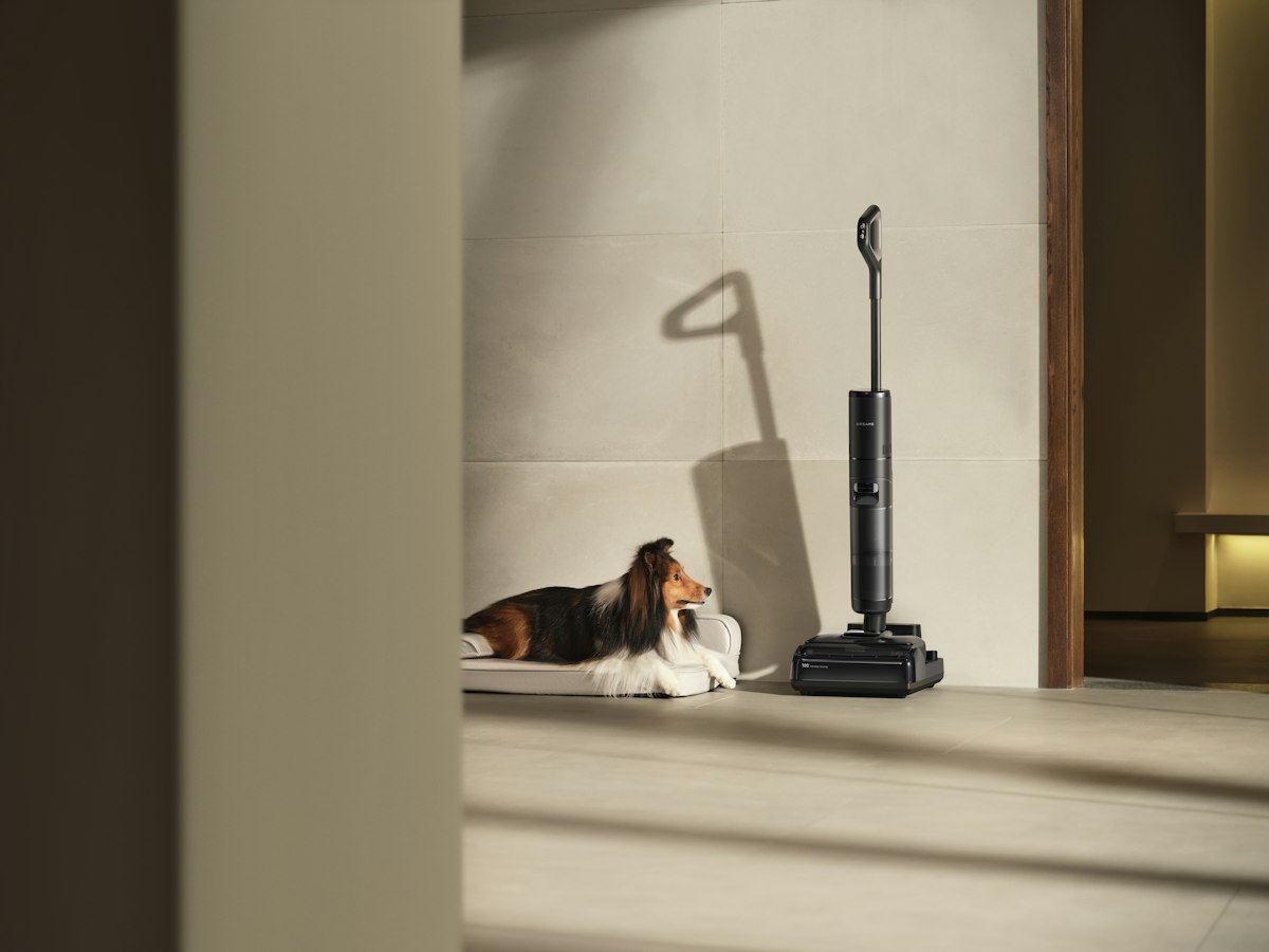 Dog resting near a vacuum cleaner on the floor