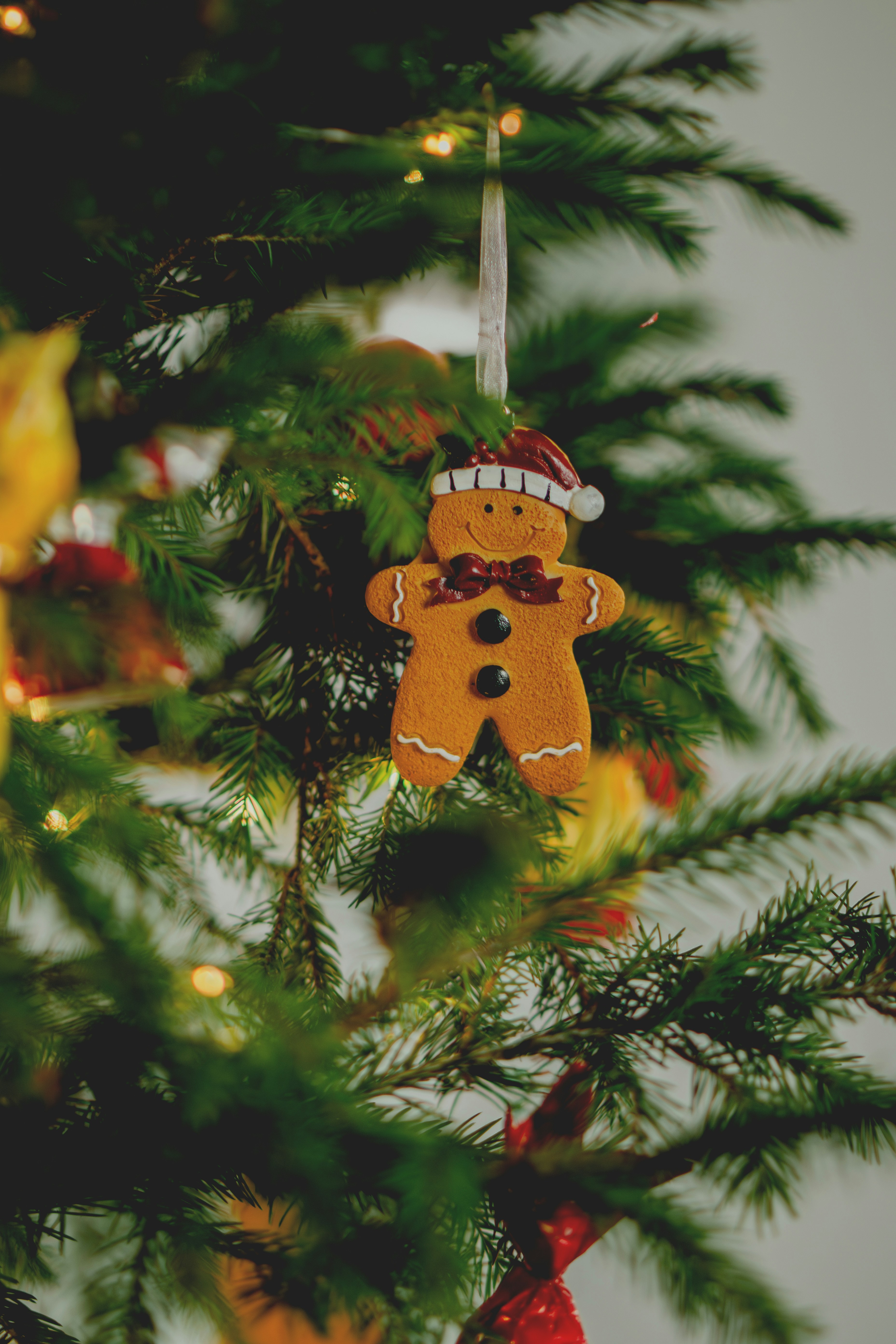 Gingerbread man ornament on a christmas tree.