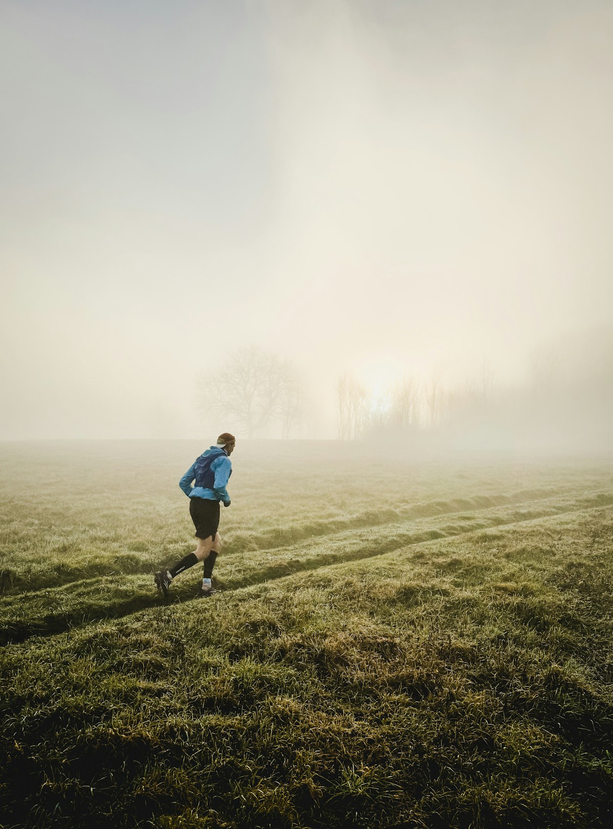 Solo runner moving through a misty field at sunrise, early-morning low-intensity aerobic work