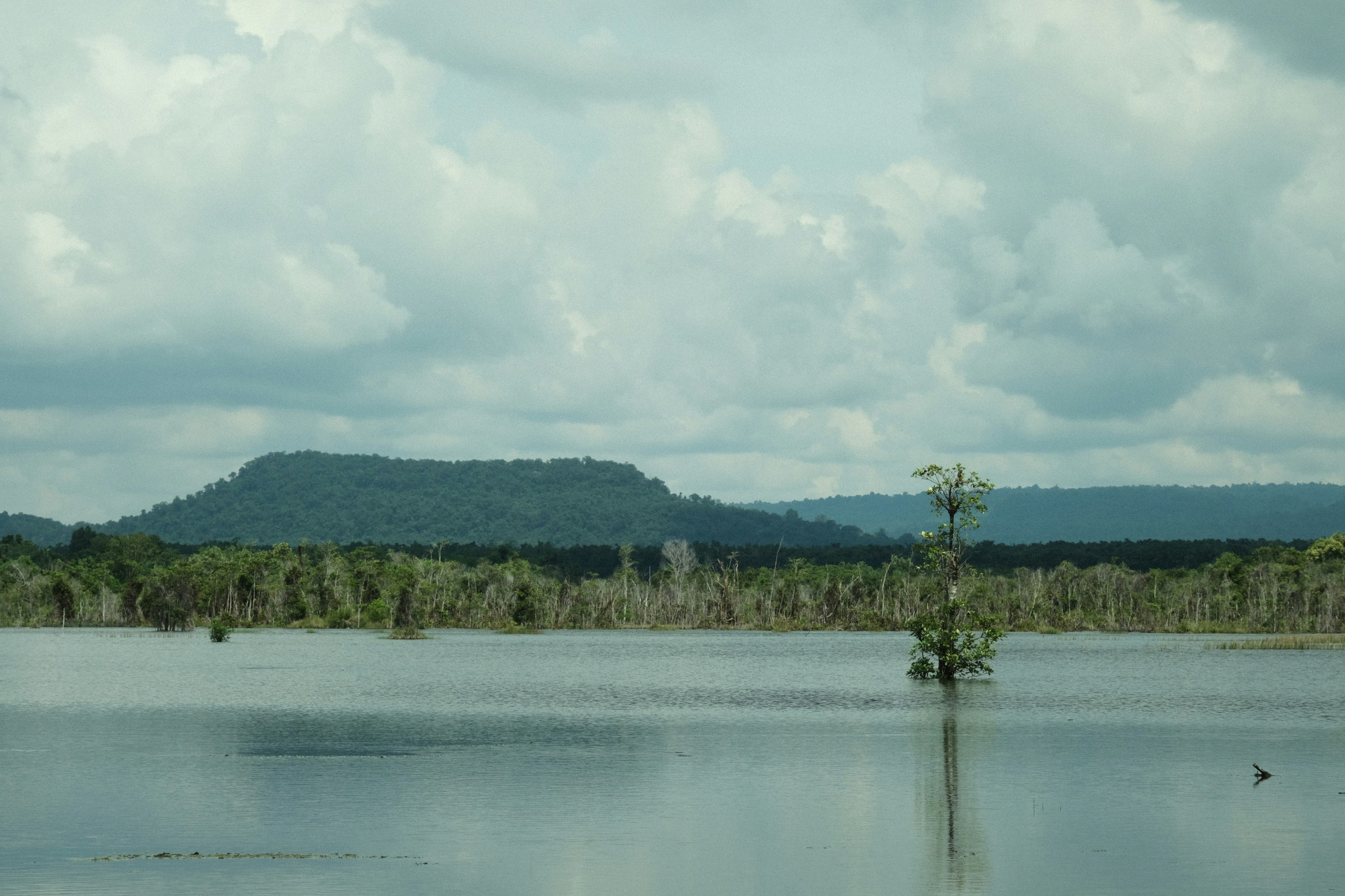 EDR destination photo