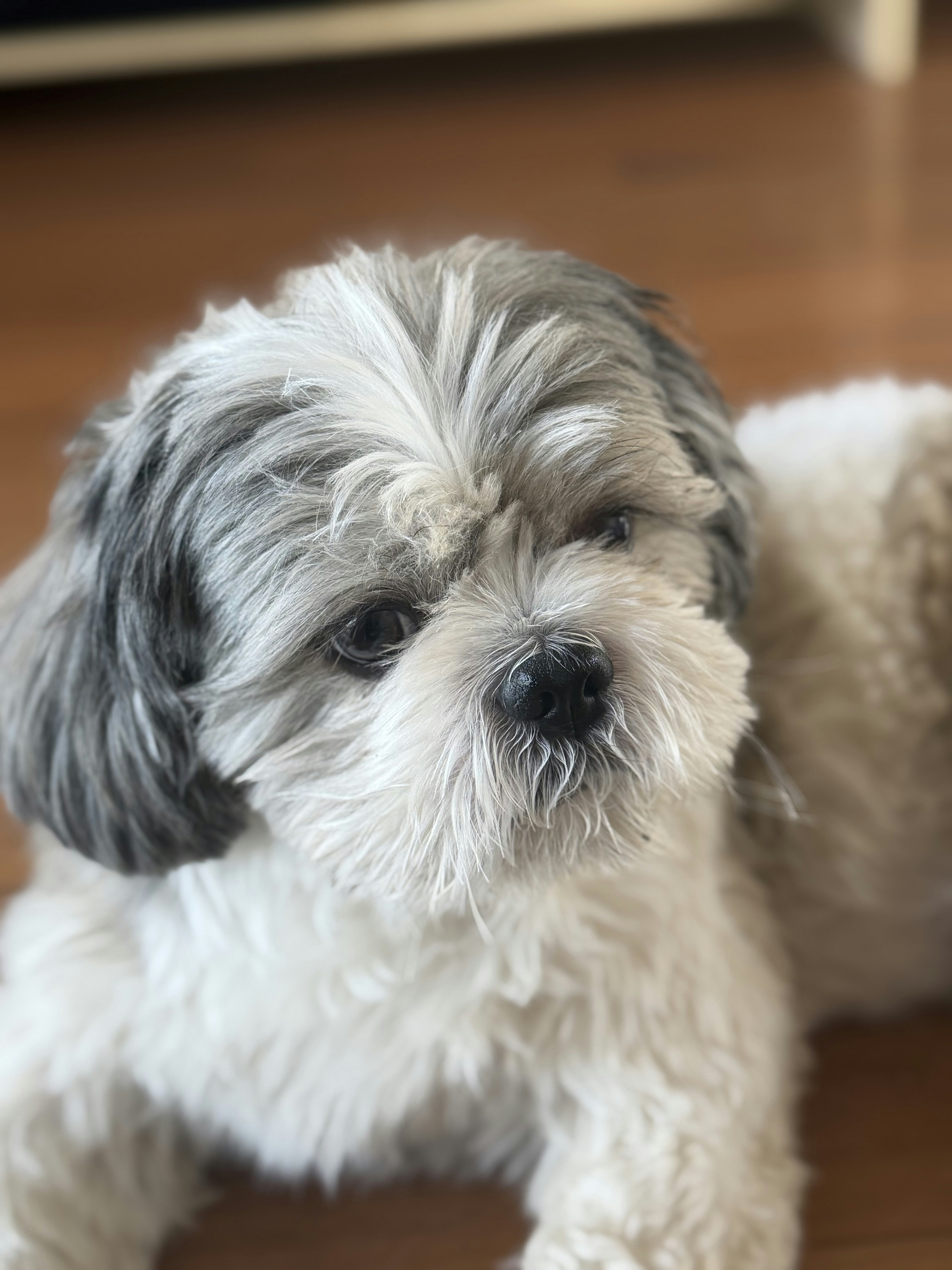 Photo by phoenix_2022