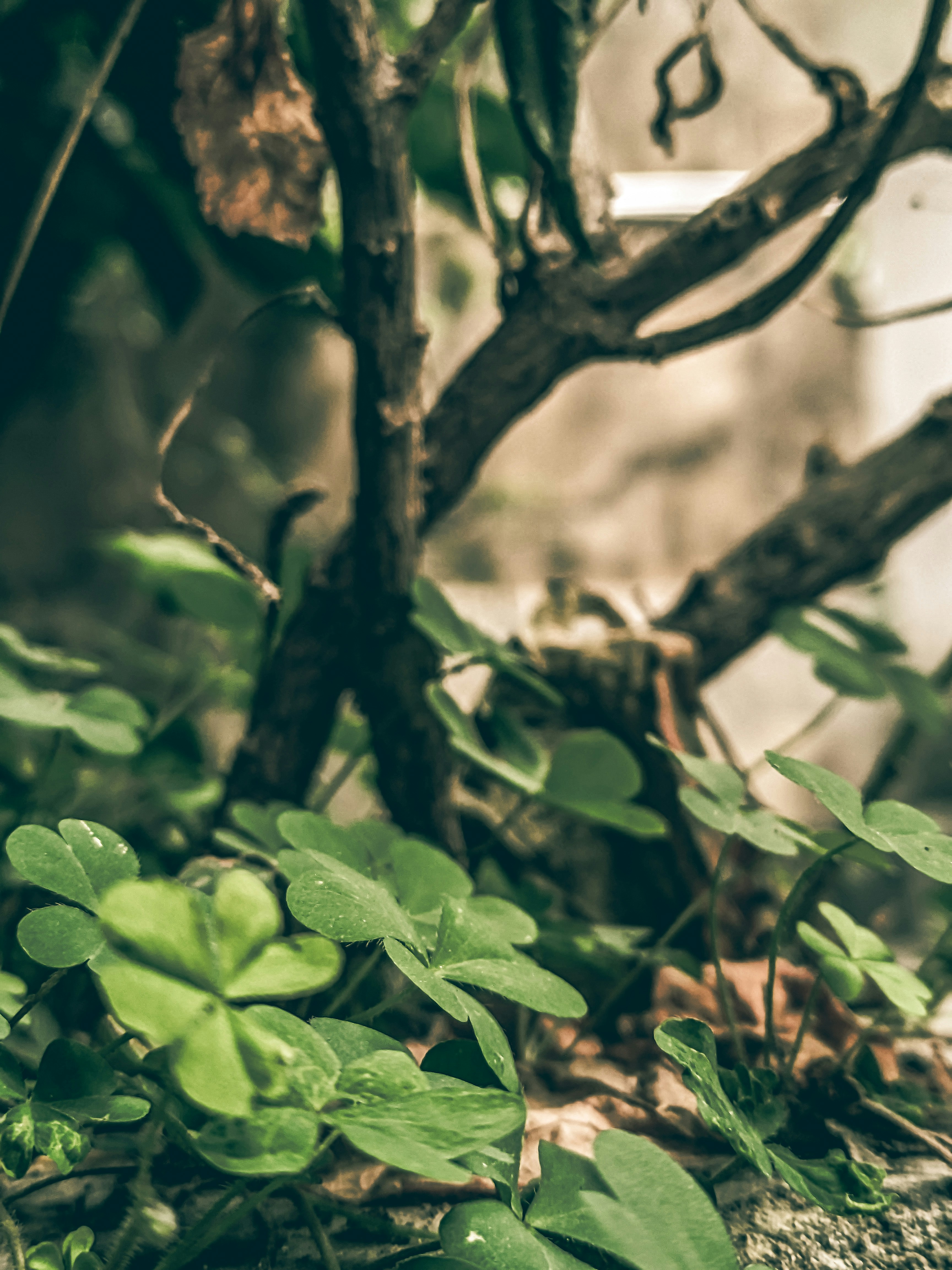 Photo by sujaypaulsp