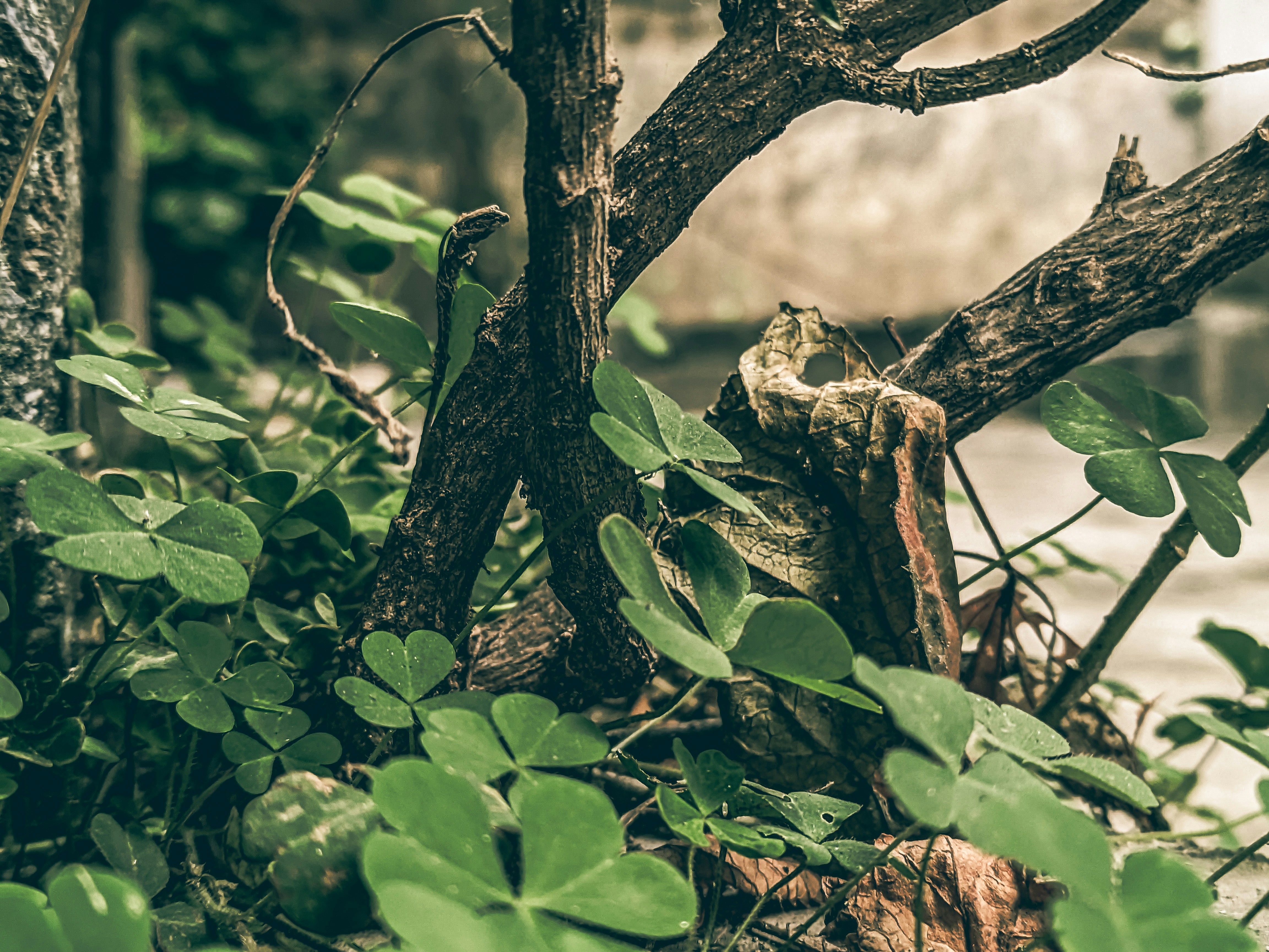 Photo by sujaypaulsp