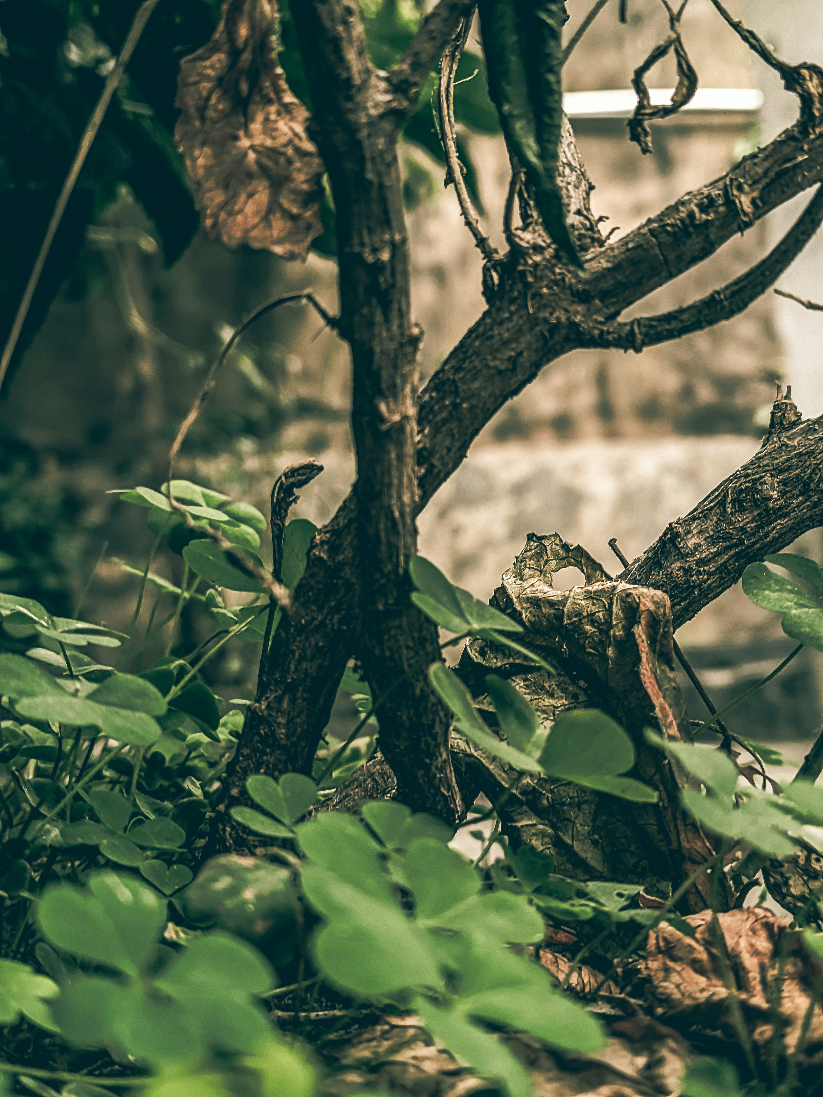 Photo by sujaypaulsp