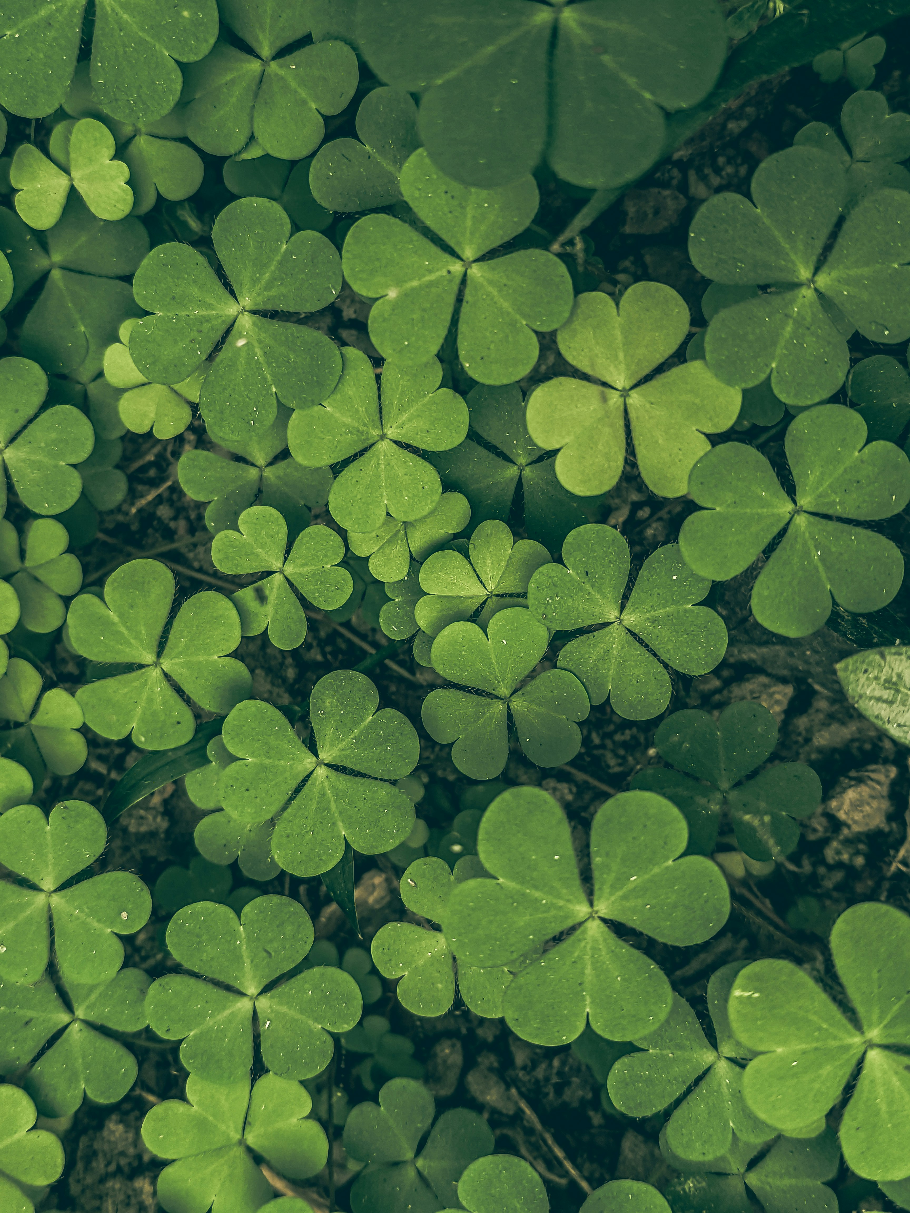 Photo by sujaypaulsp