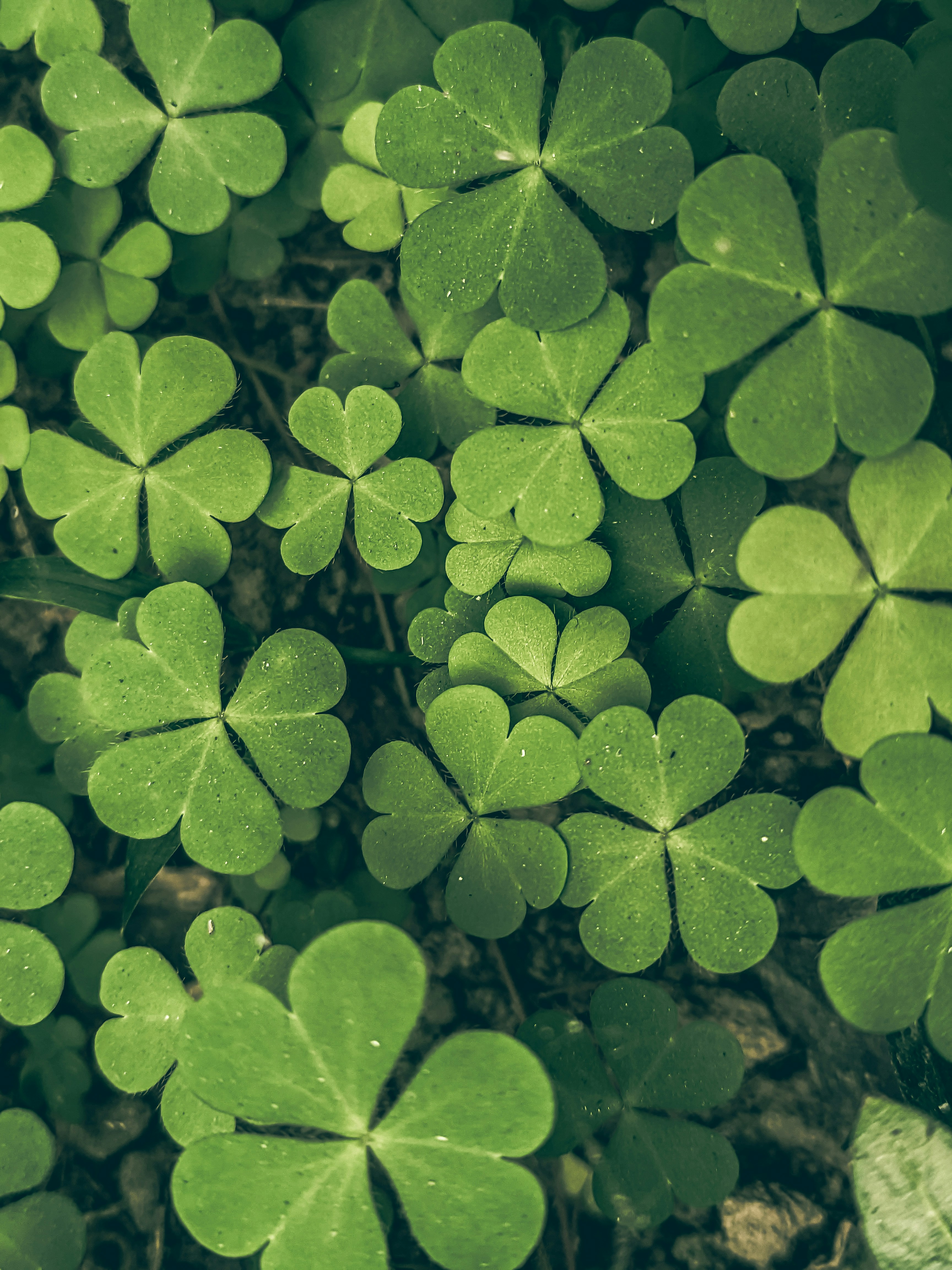 Photo by sujaypaulsp