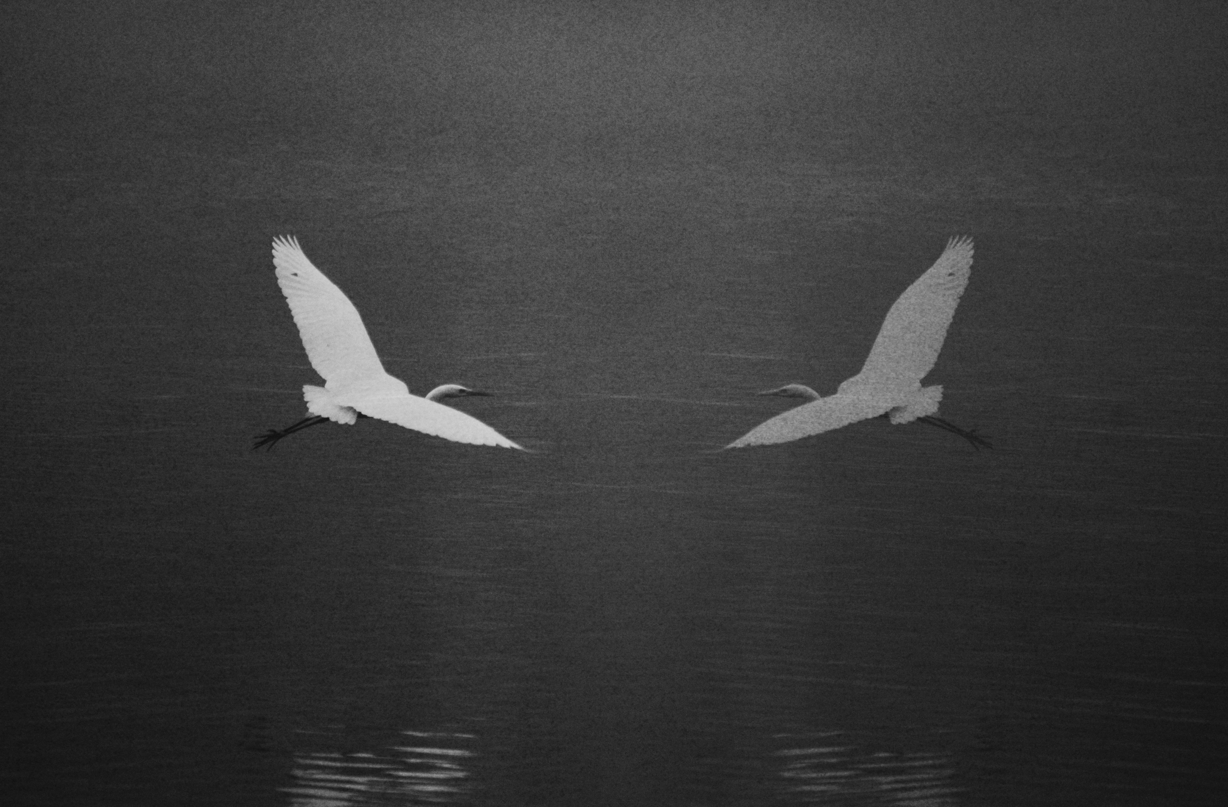 Photo by cherstve_pechivo