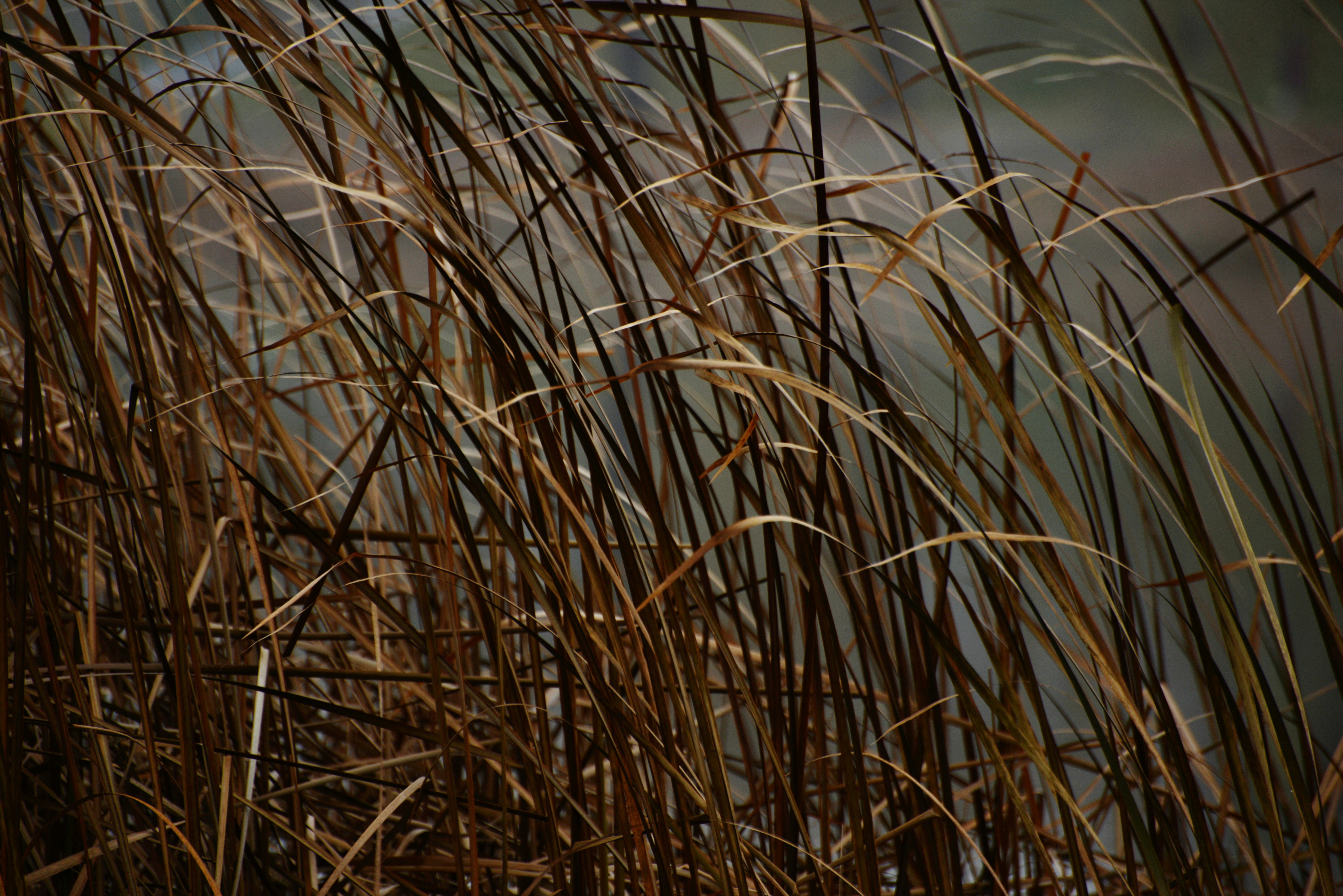 Photo by cherstve_pechivo