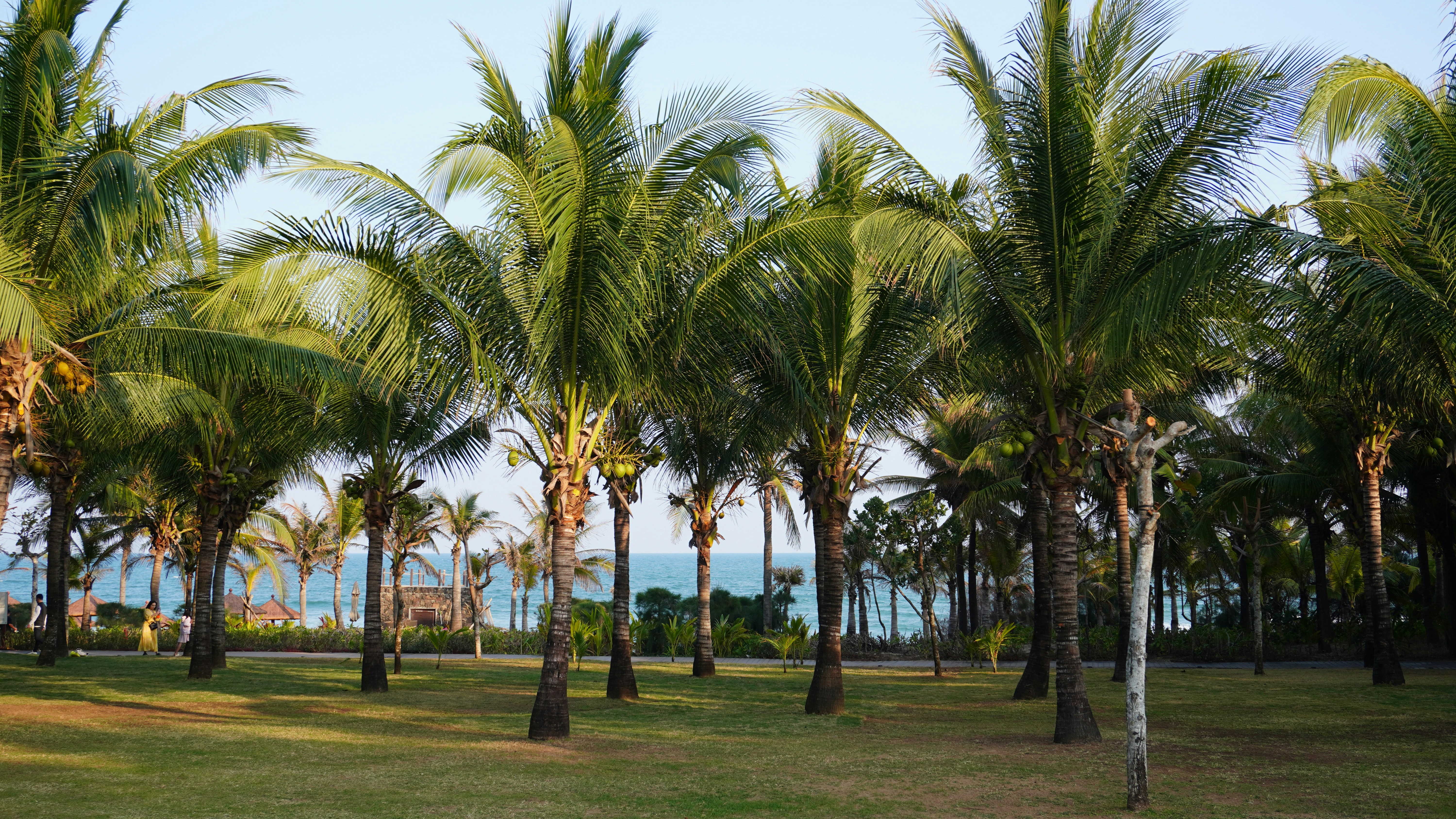 Photo by vermouthgin