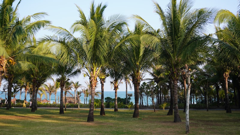 Mango Bay Barbados resort