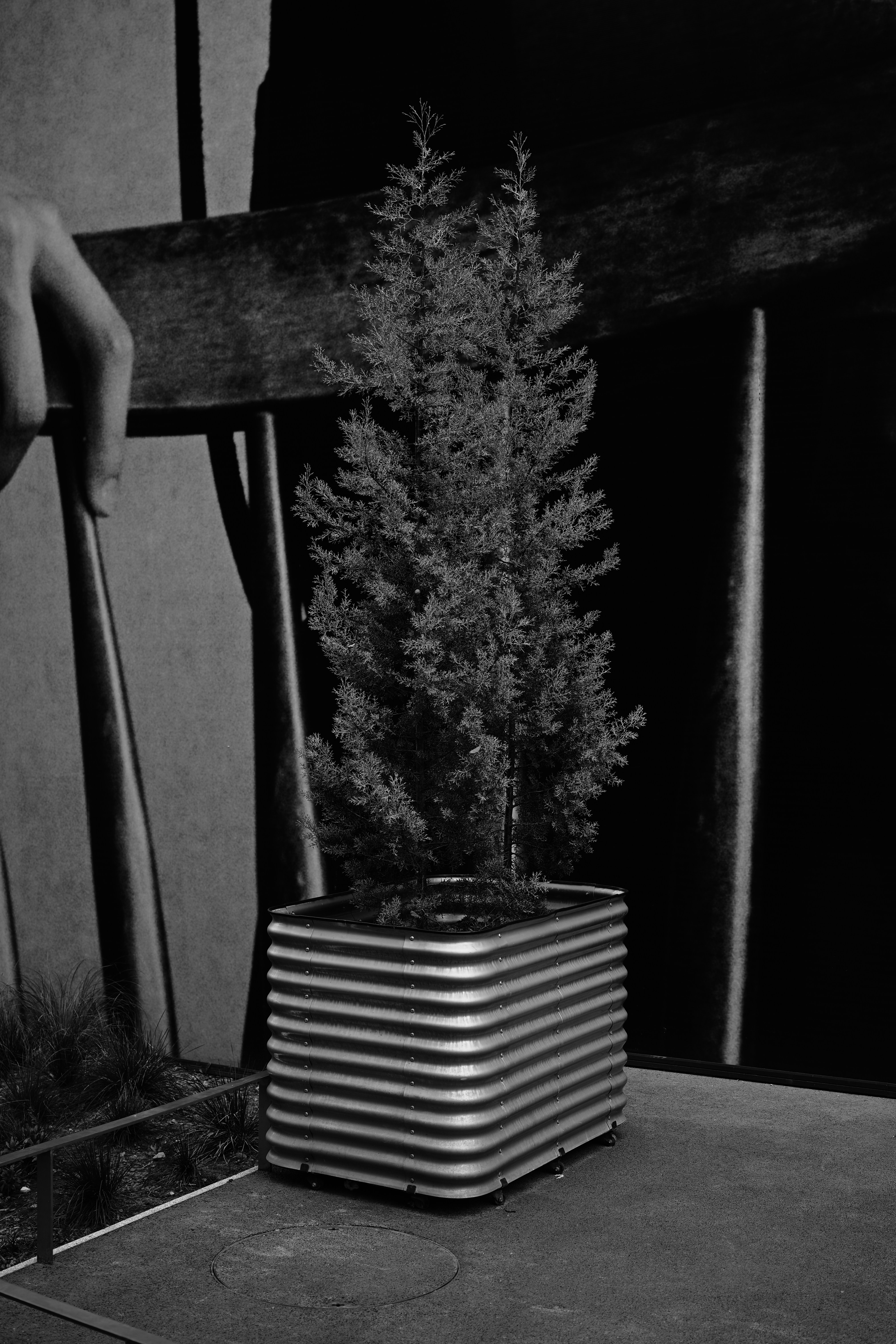 Kleiner Baum in einem Wellblechtopf auf einem Stuhl.