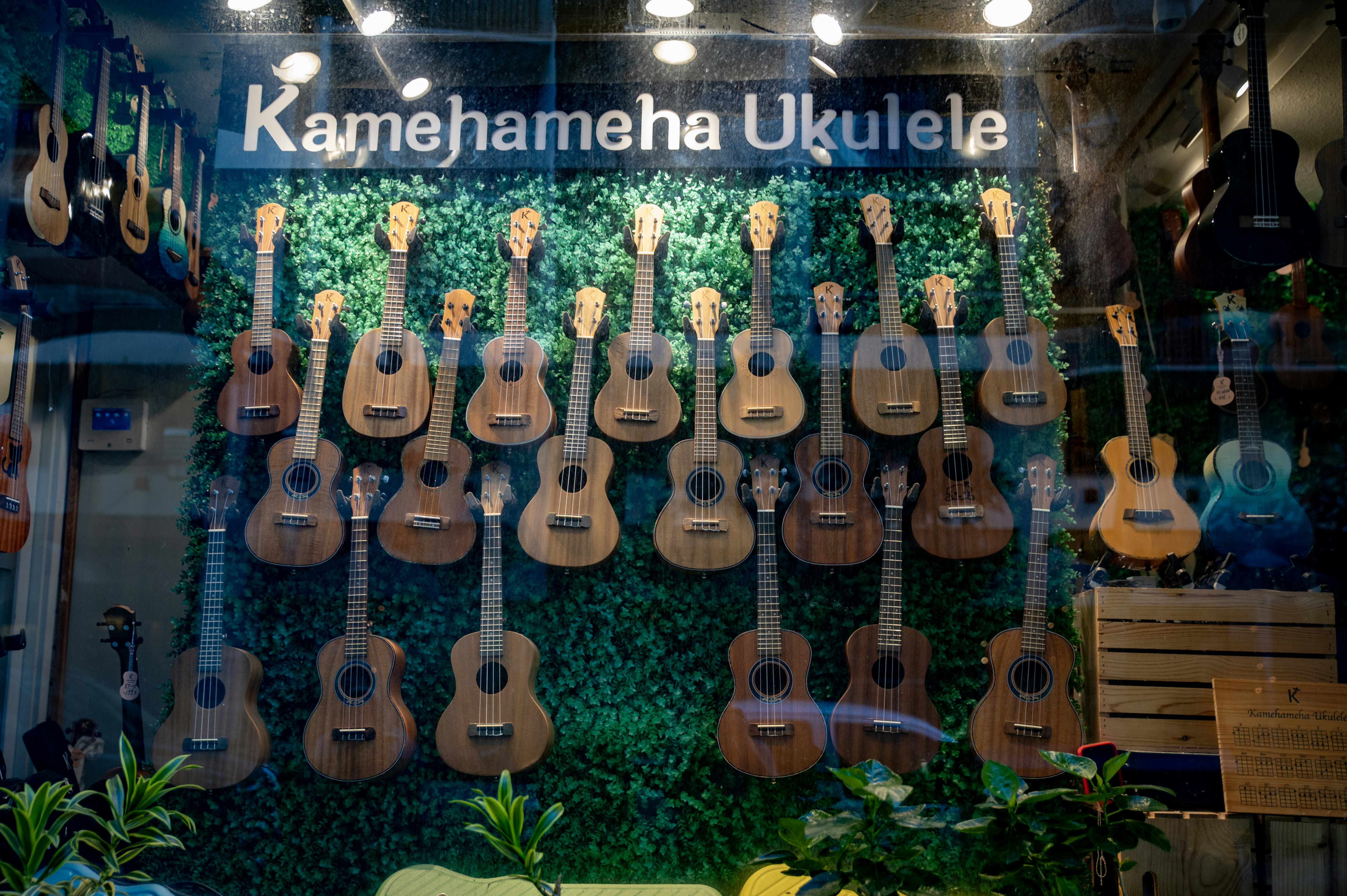 Ukuleles displayed in a store window