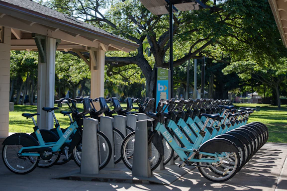 Row of blue rental bicycles at a station.