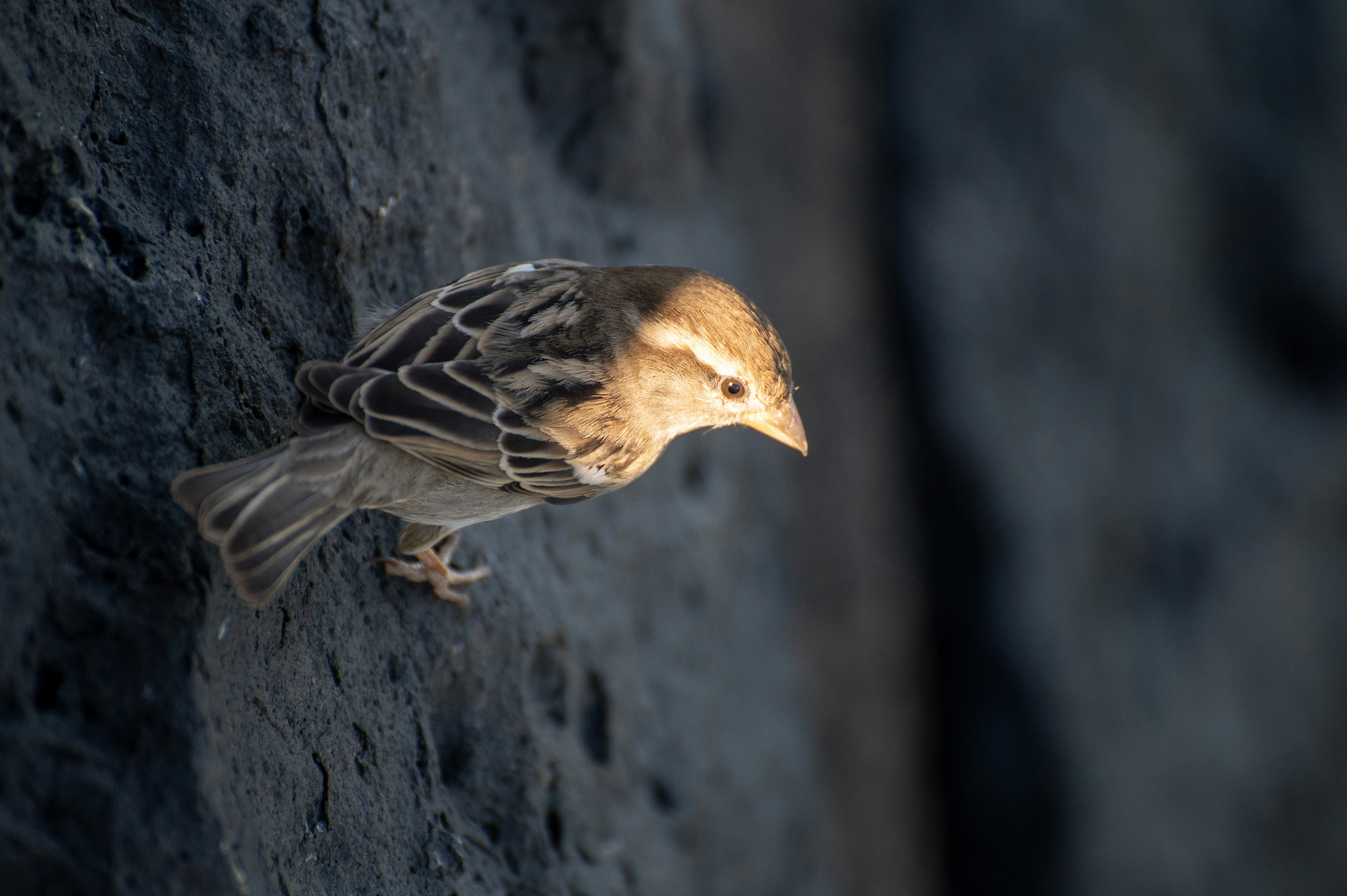 Photo by tracminhvu