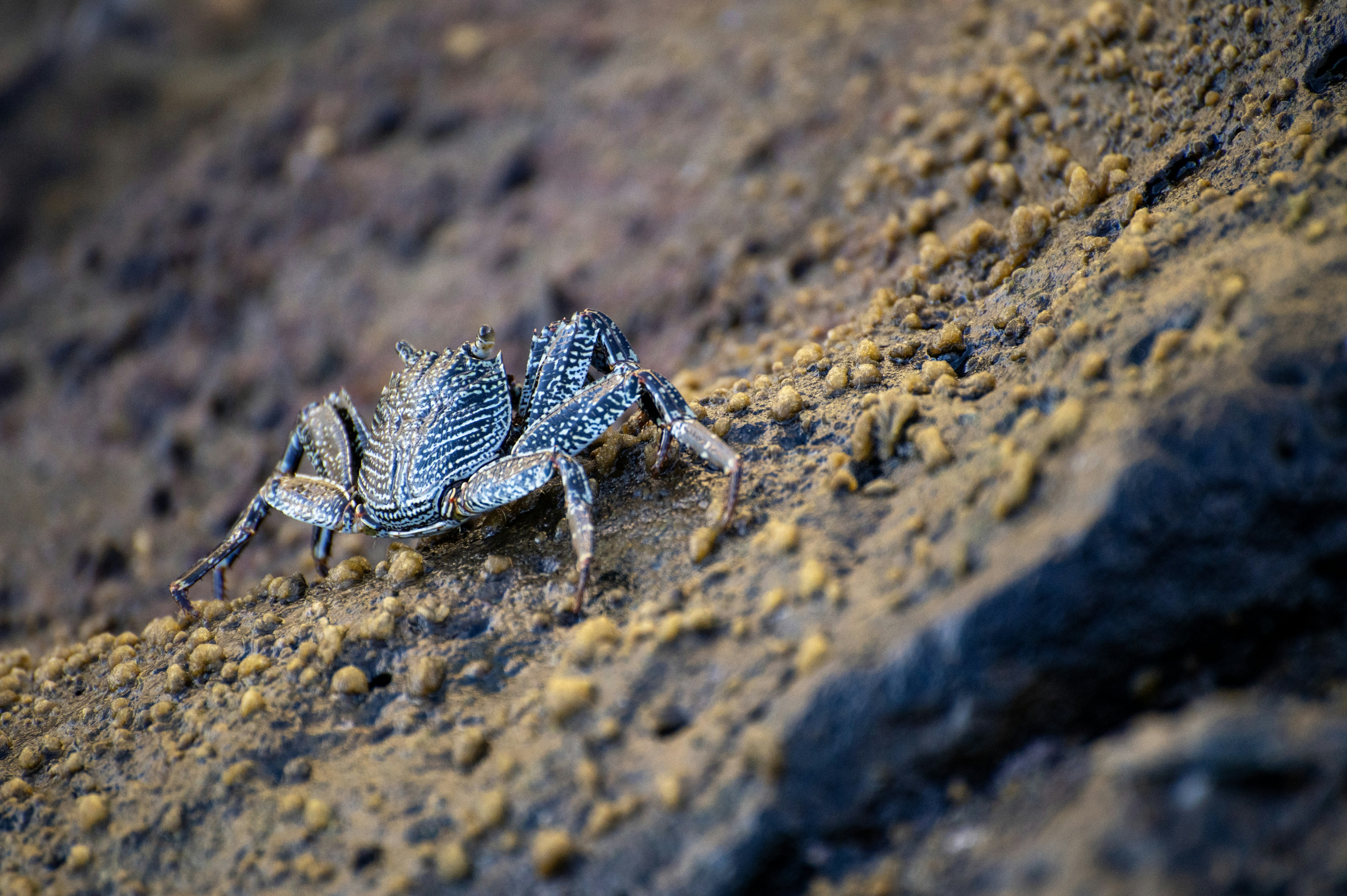 Photo by tracminhvu