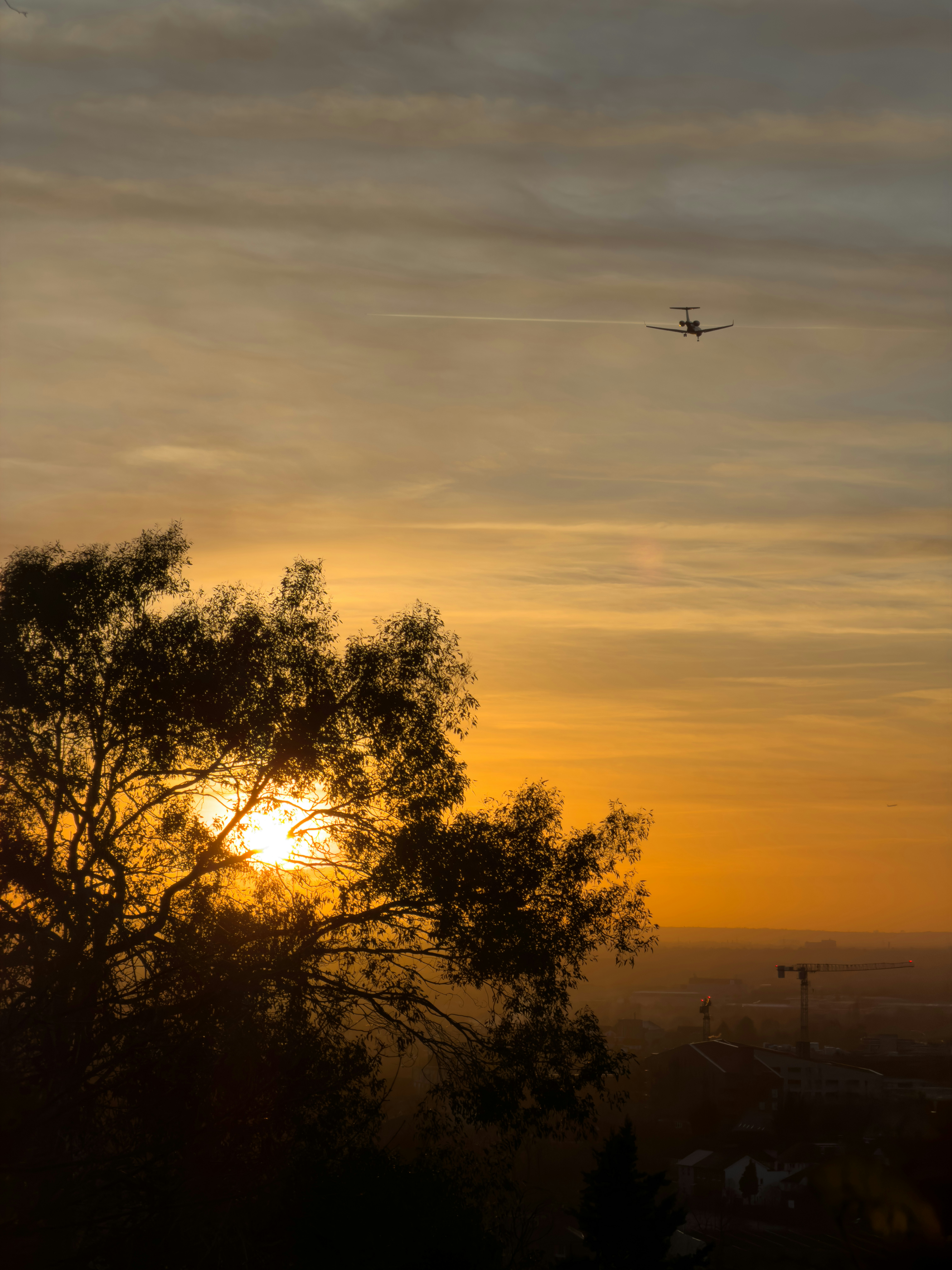 Photo by brett_jordan