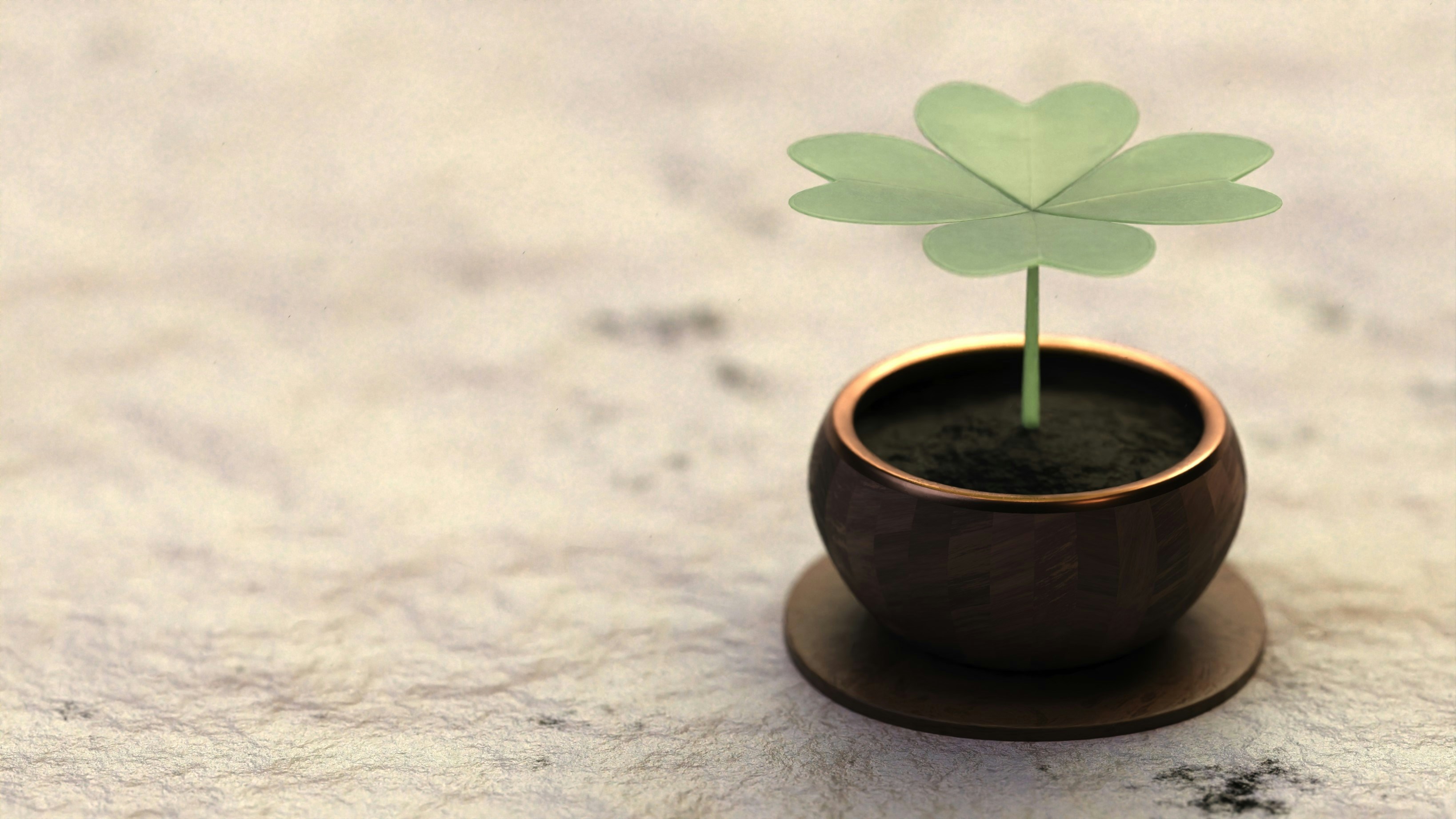 Une petite plante dans un pot à quatre feuilles.