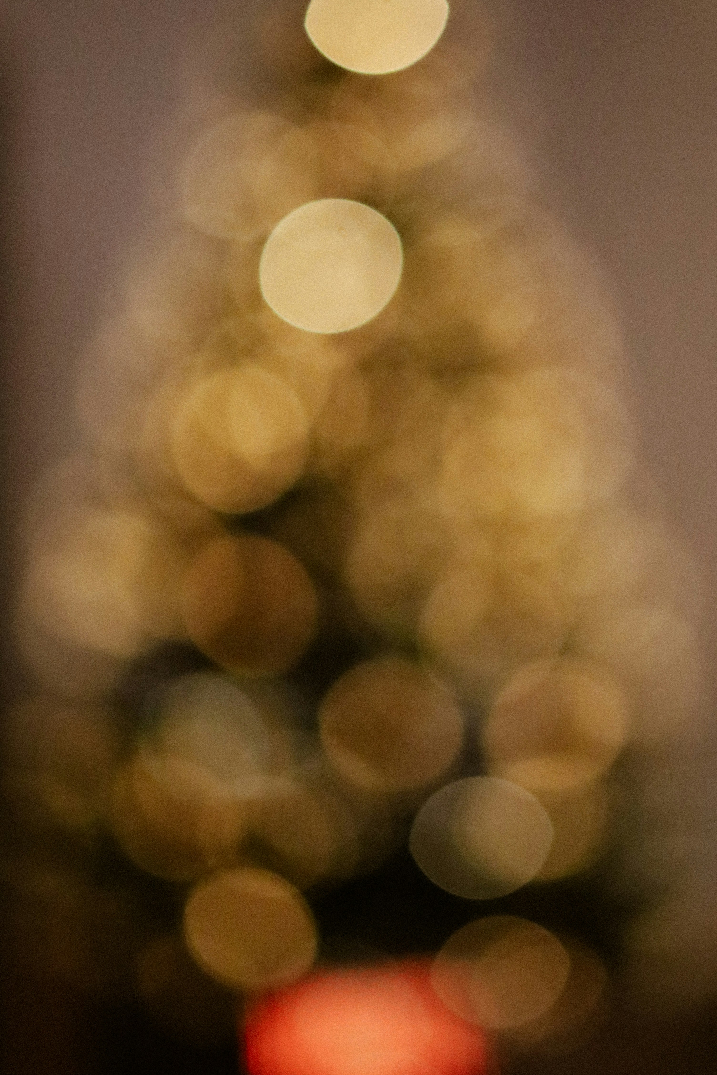 Blurred christmas tree with warm golden lights