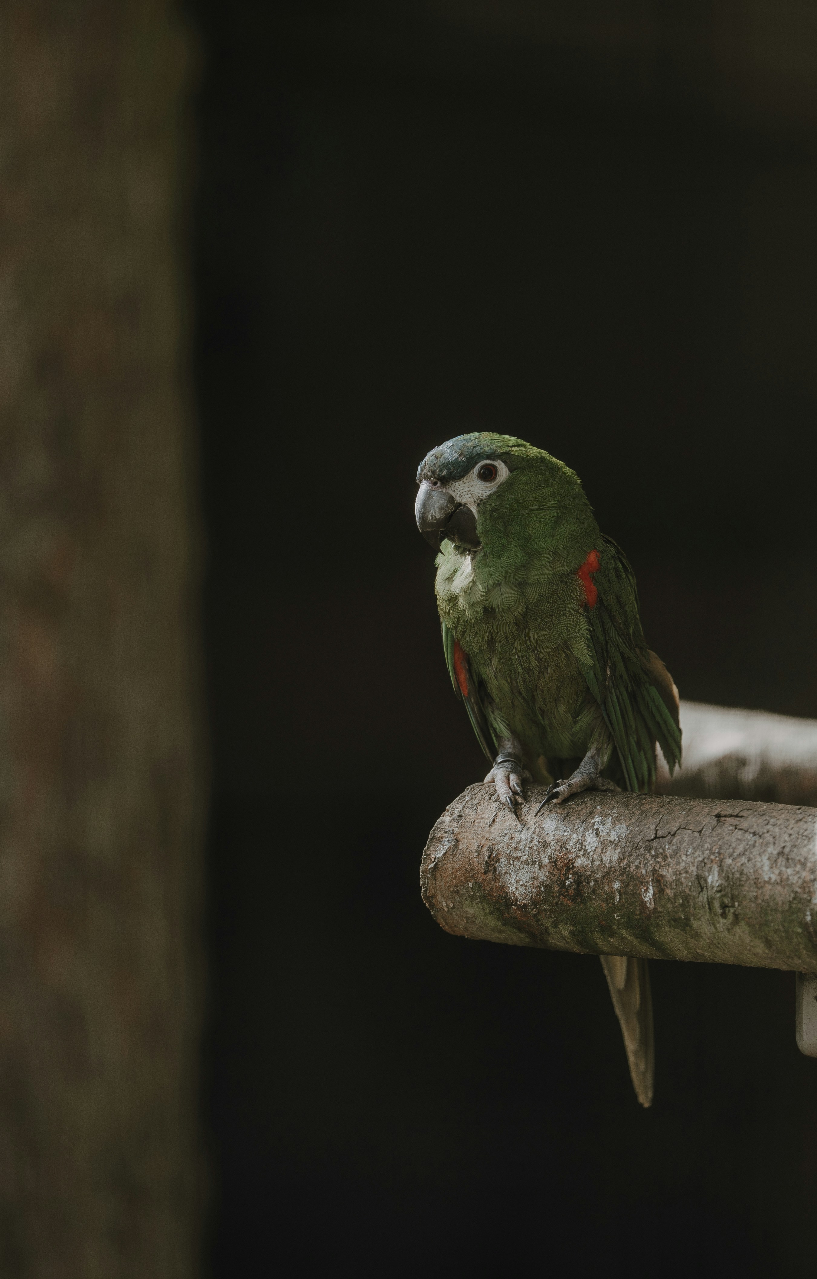 Photo by trfotografi