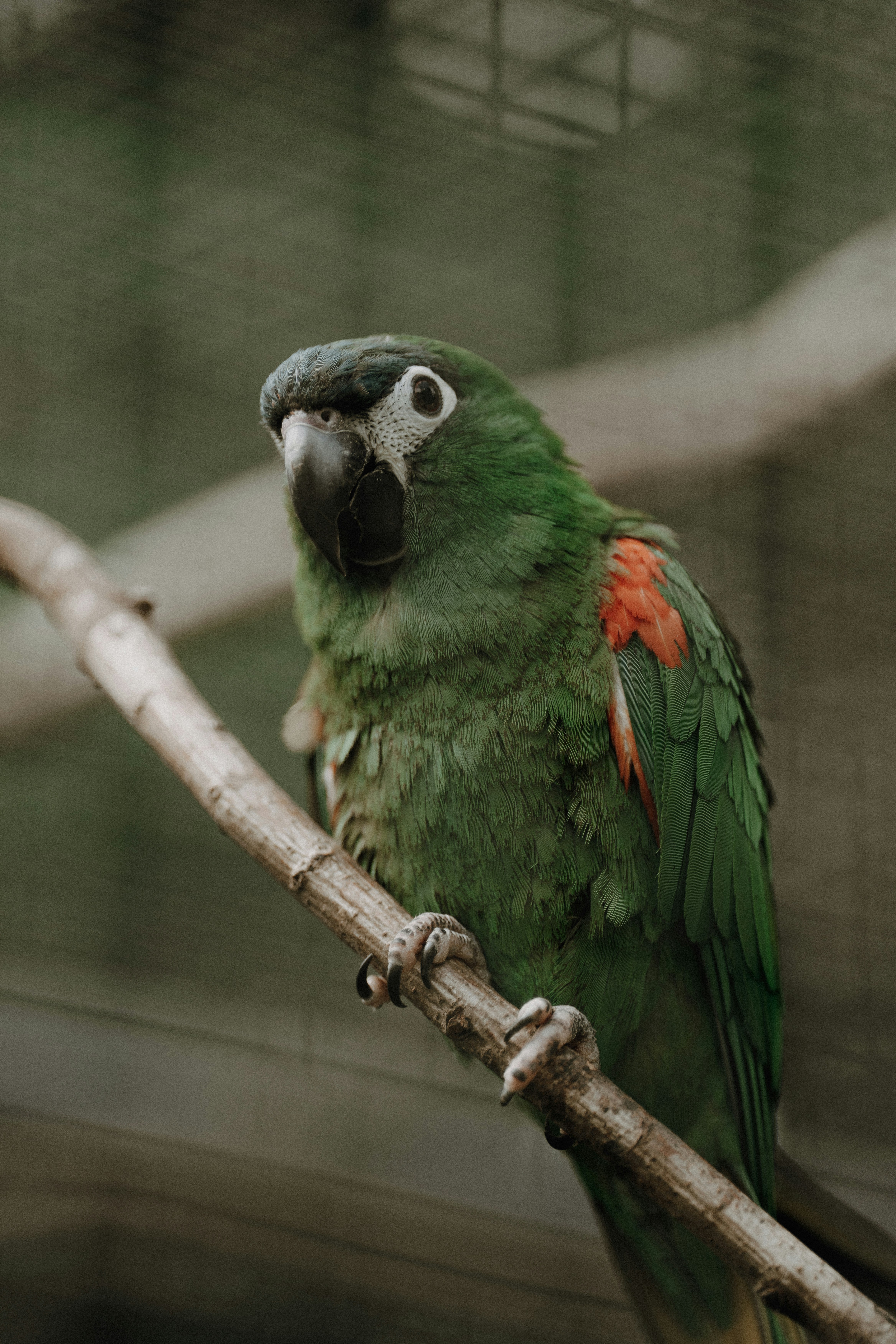 Photo by trfotografi