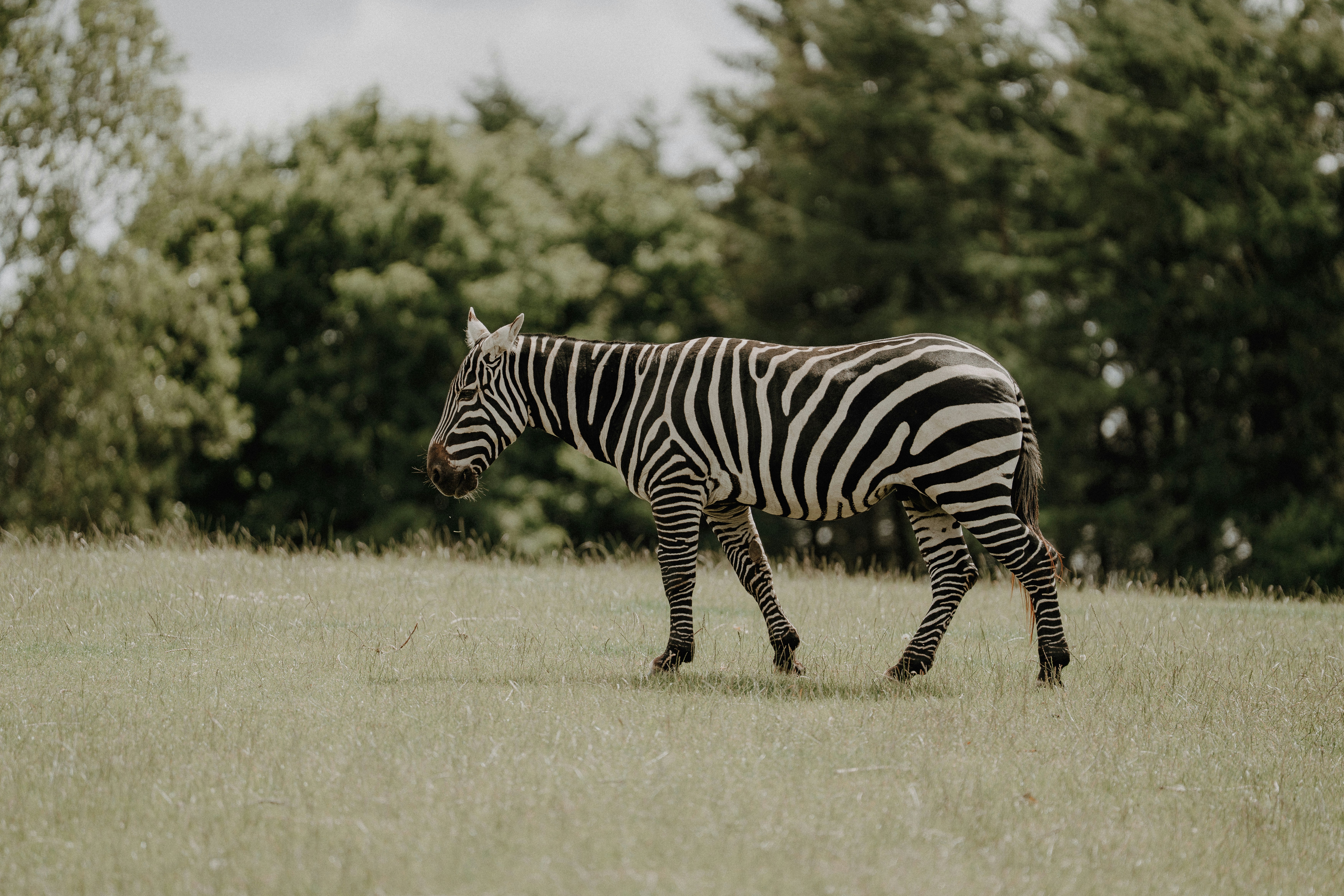 Photo by trfotografi