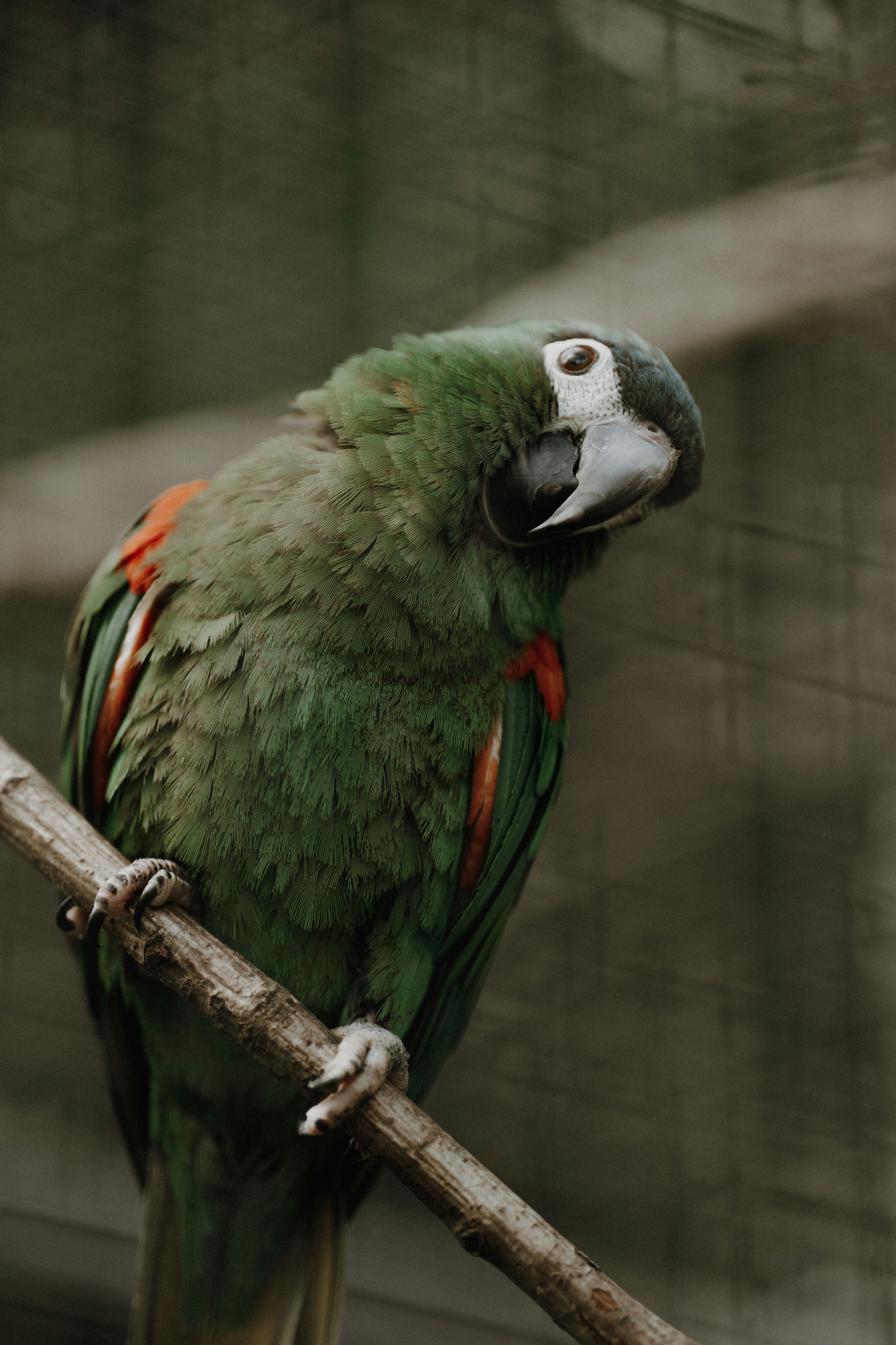 Photo by trfotografi