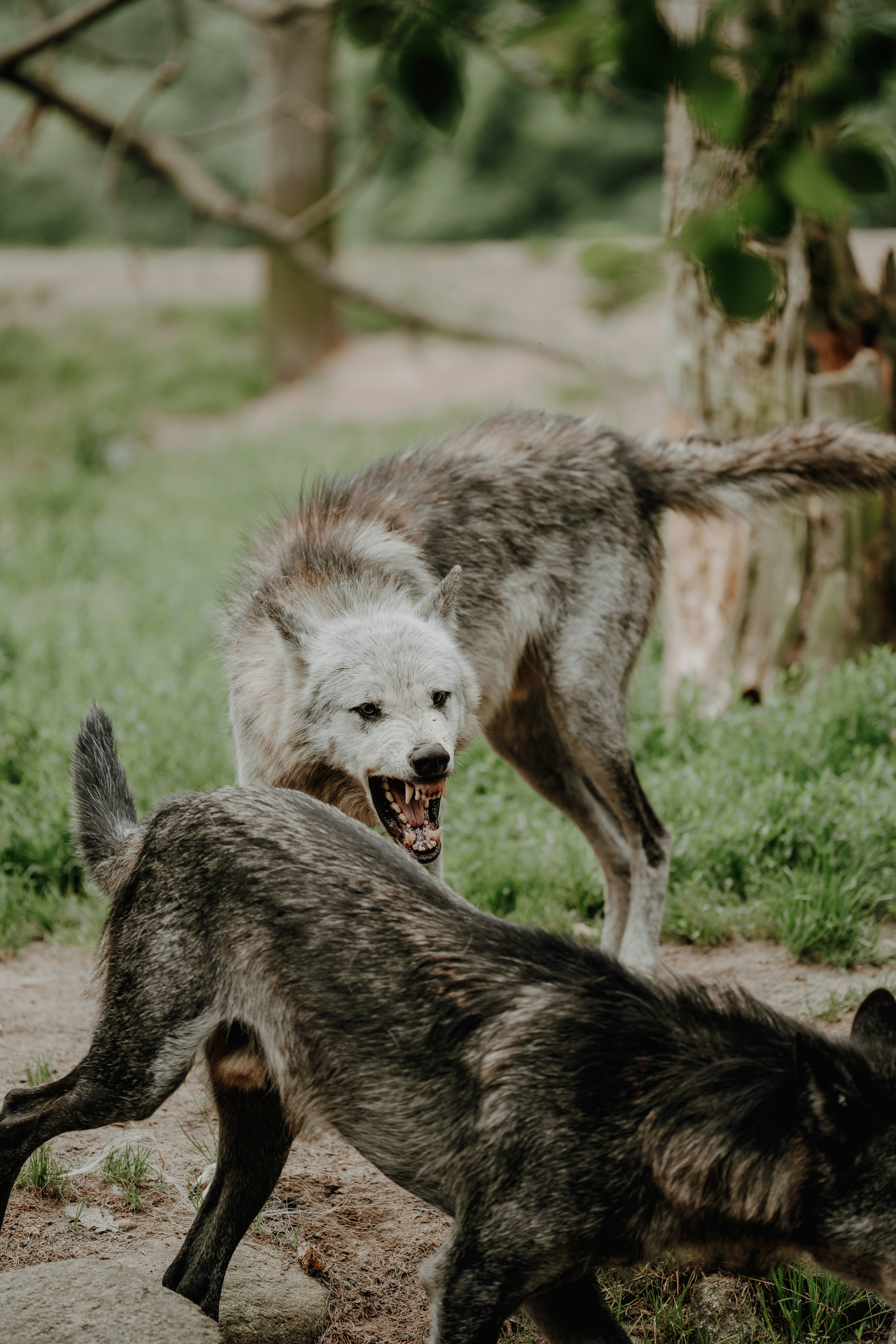 Photo by trfotografi