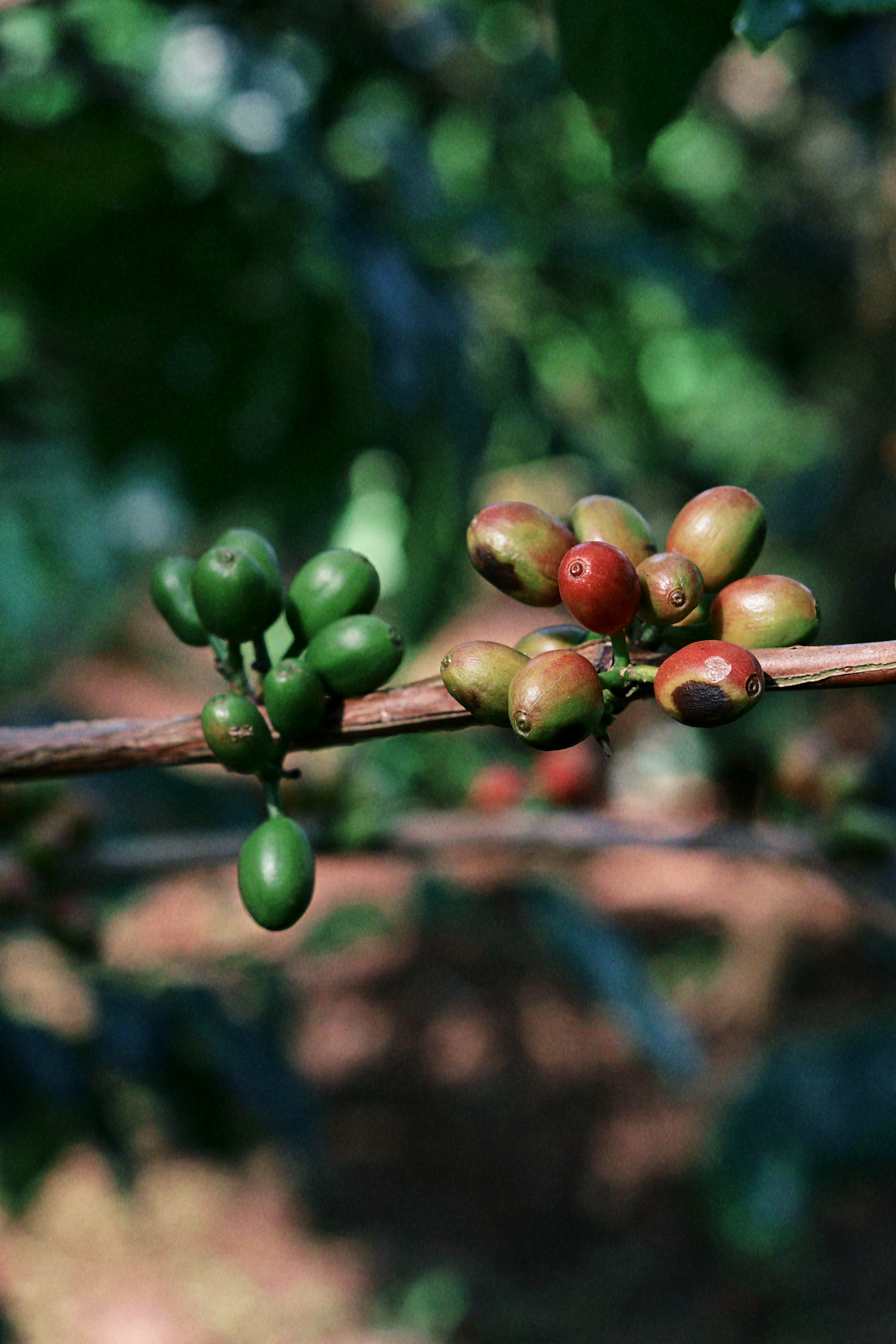 Photo by wangbinghua