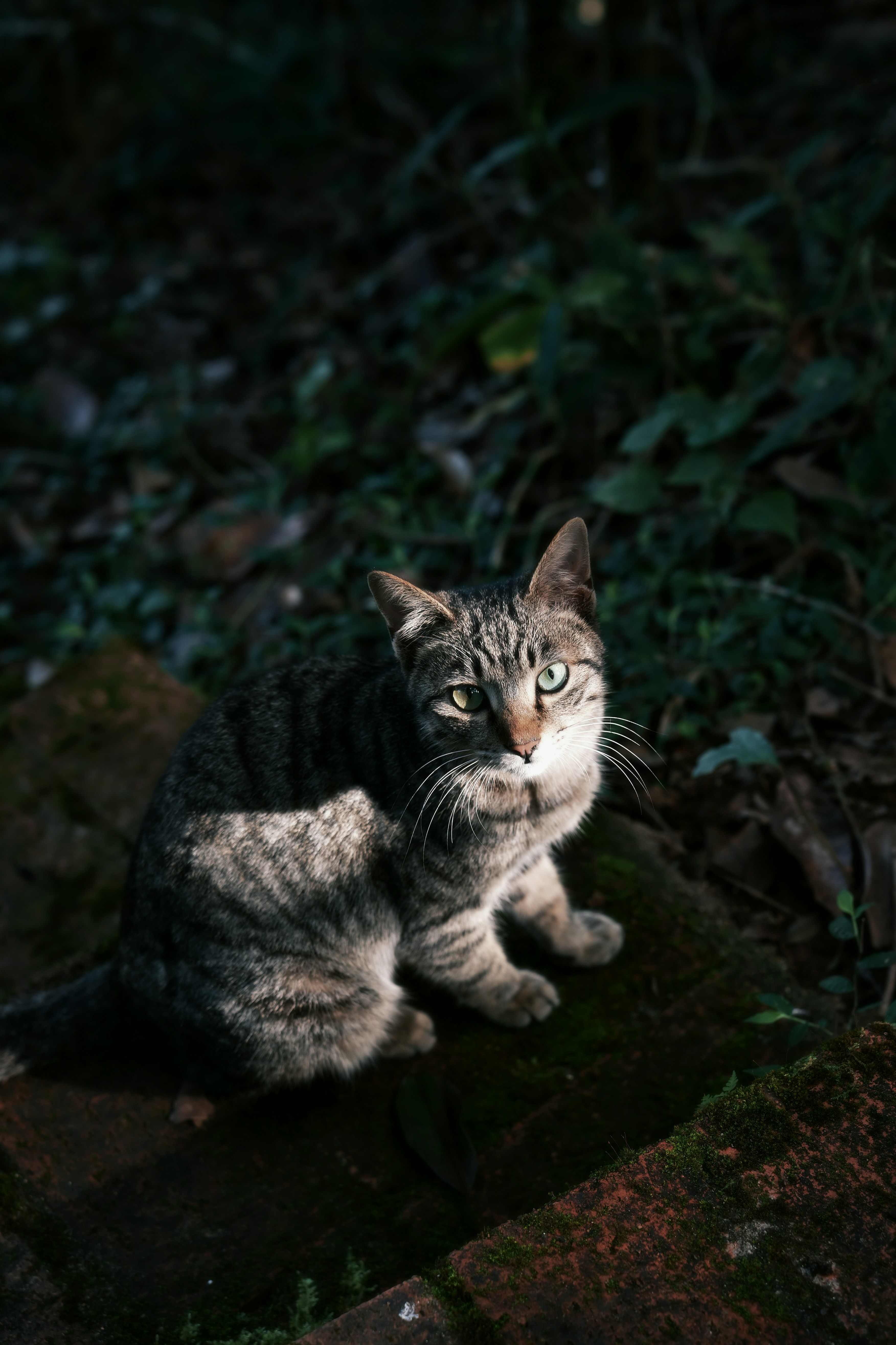 Photo by wangbinghua