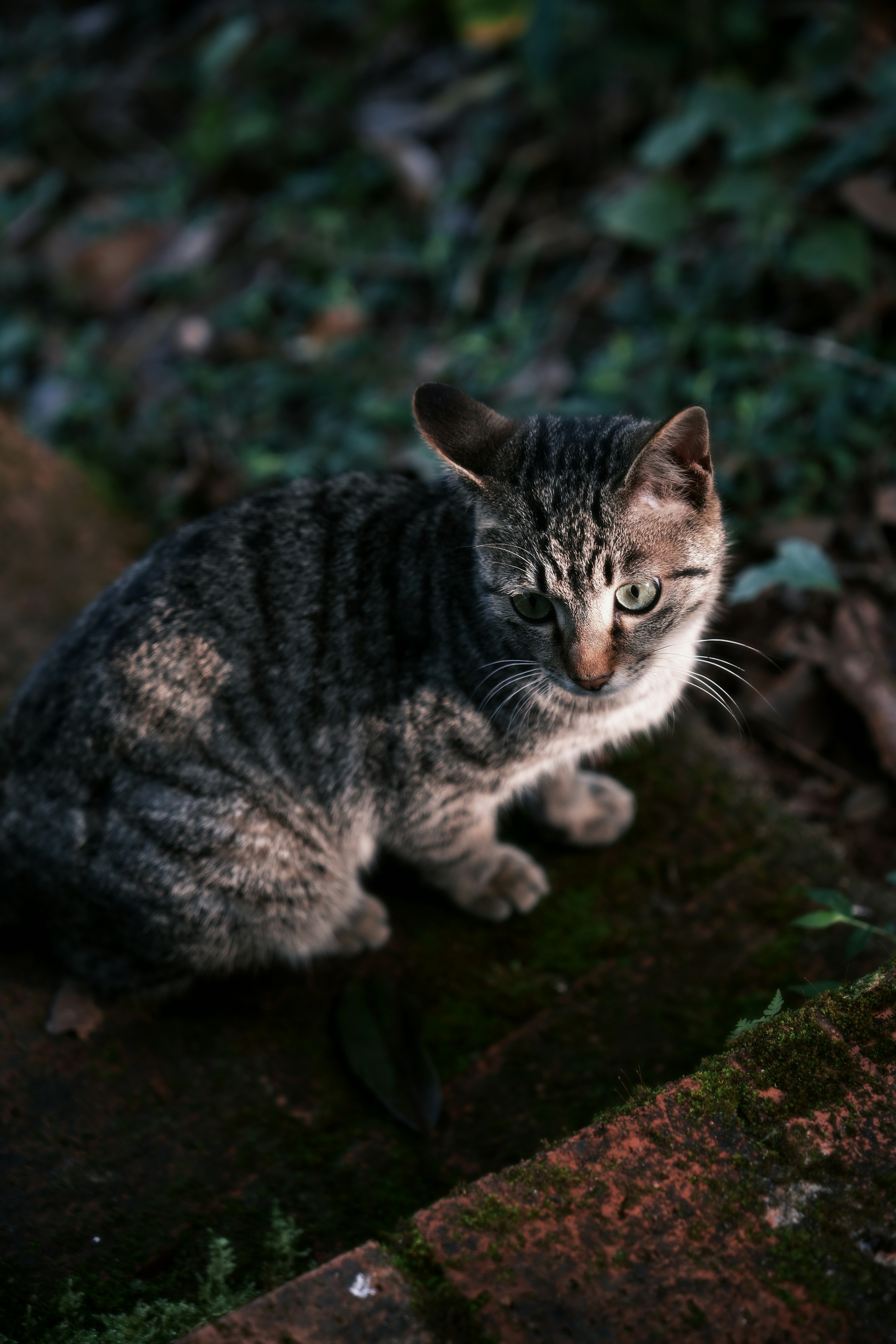 Photo by wangbinghua