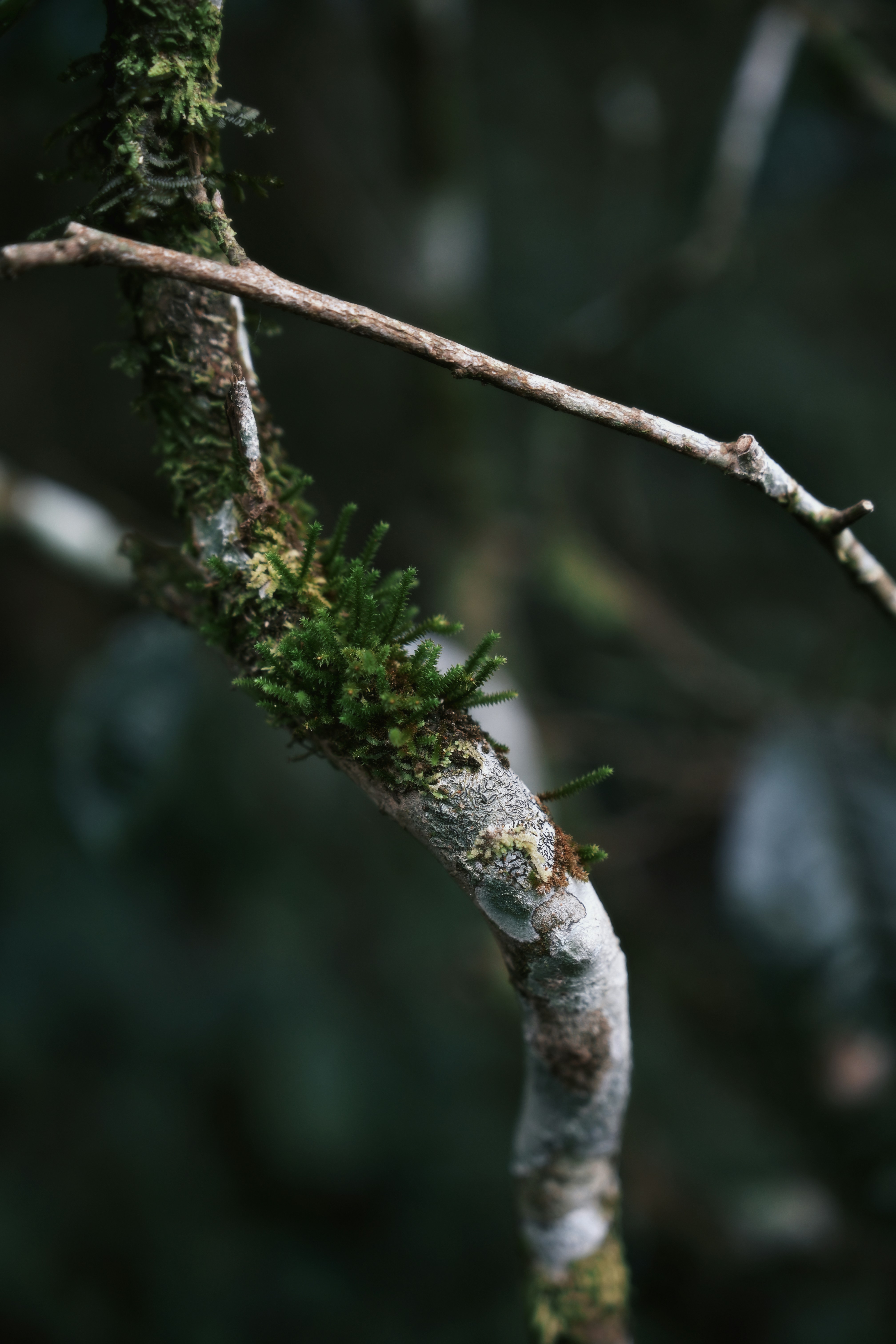 Photo by wangbinghua