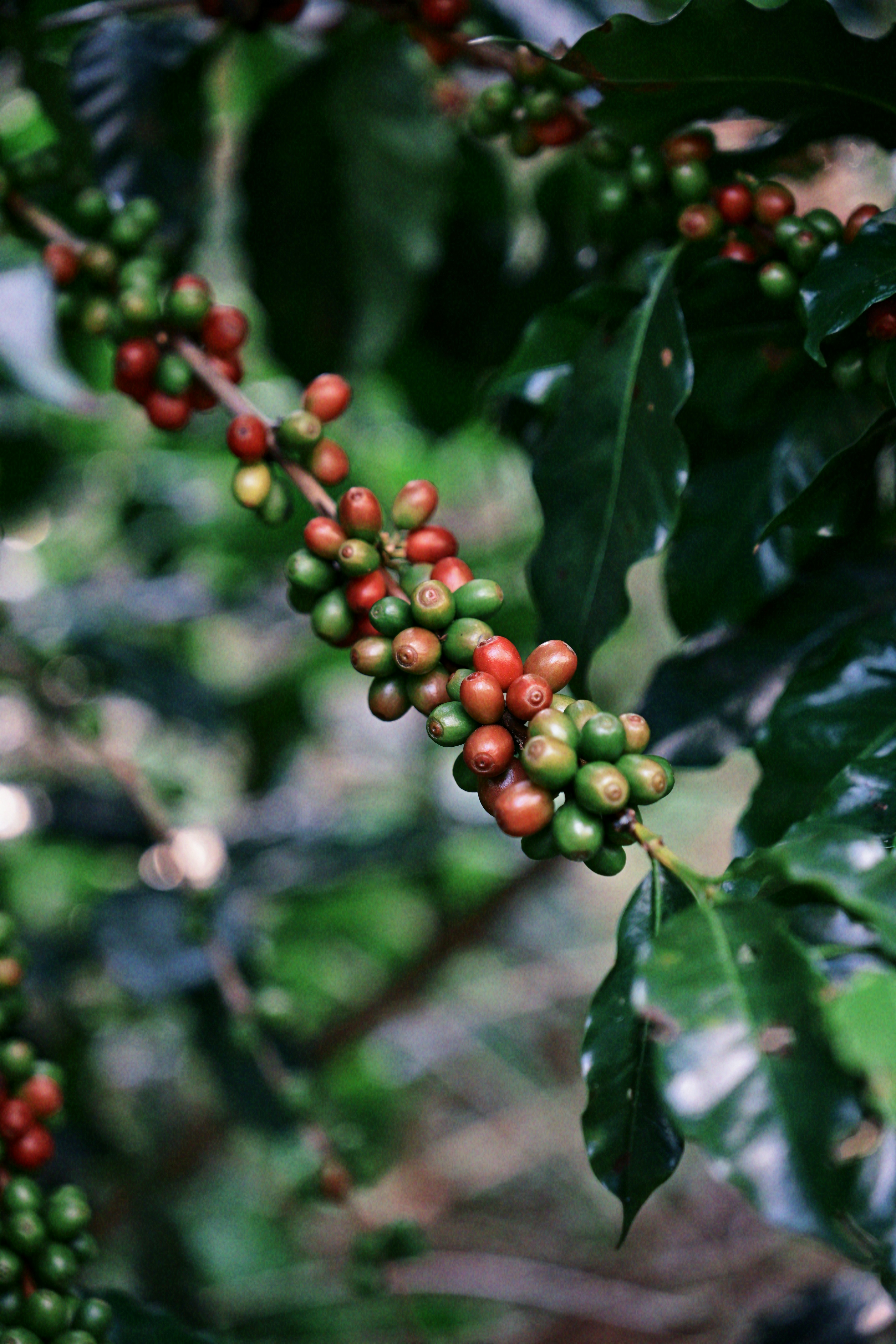 Photo by wangbinghua