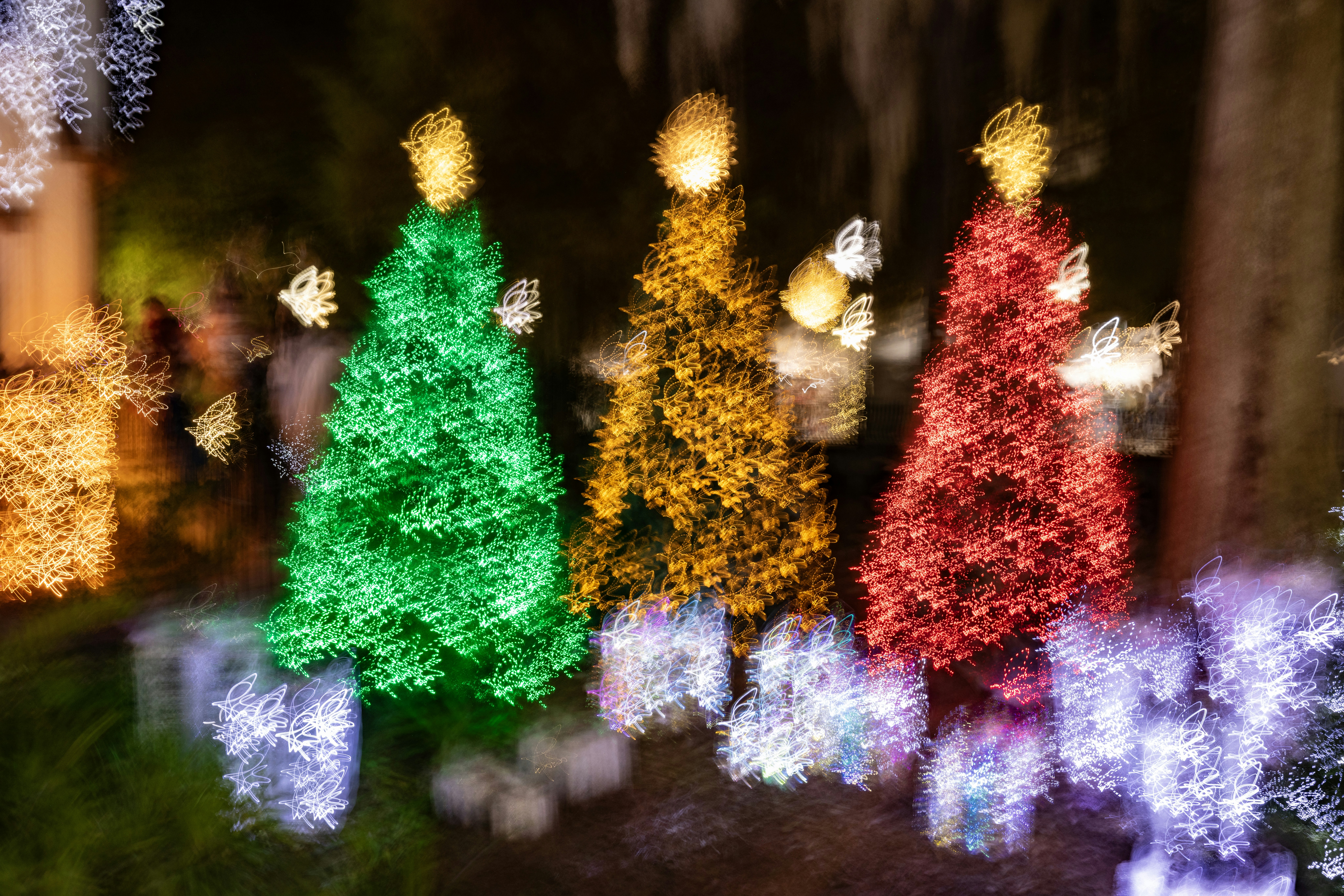 Three blurred christmas trees with festive lights.