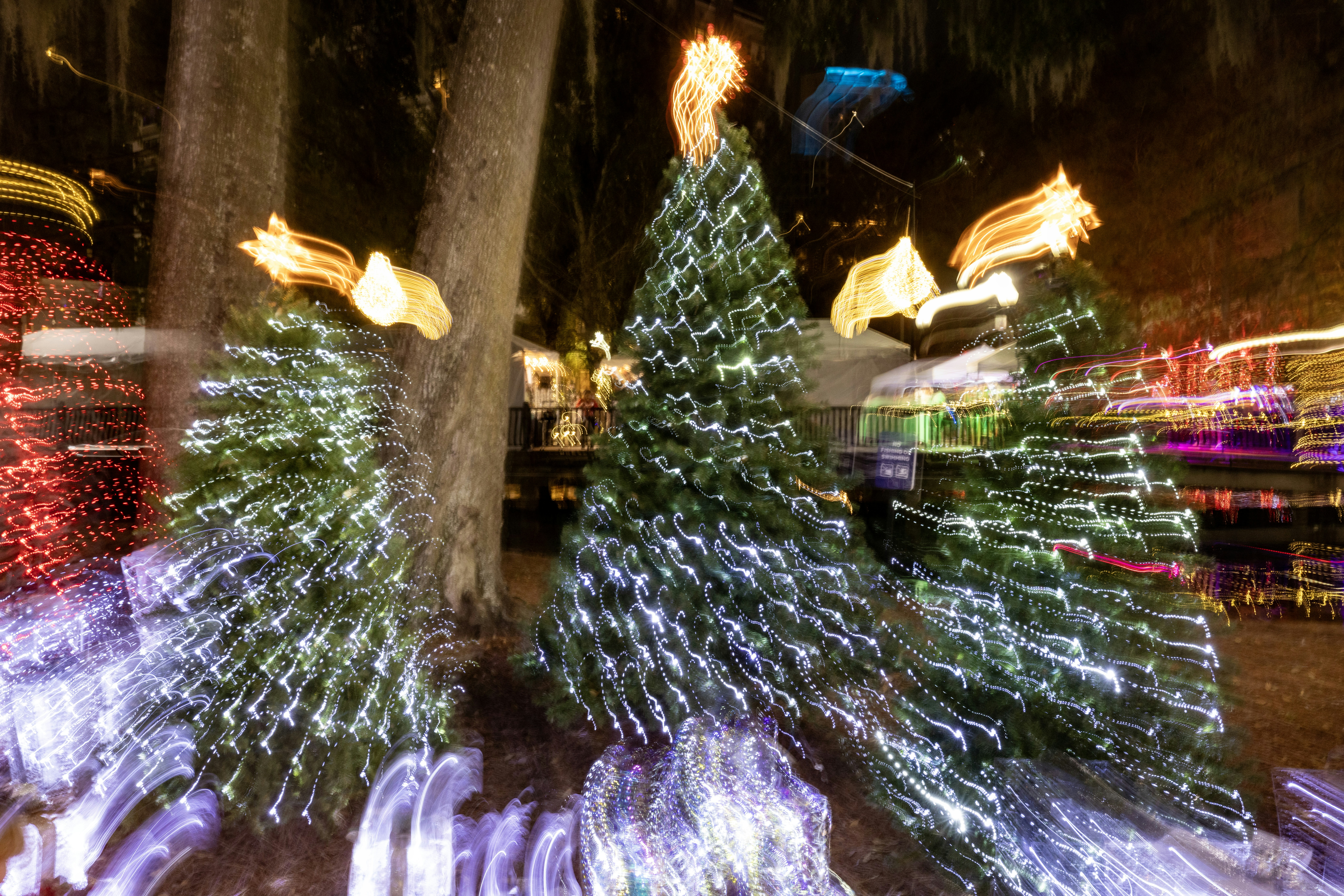 Blurry christmas trees decorated with lights at night.