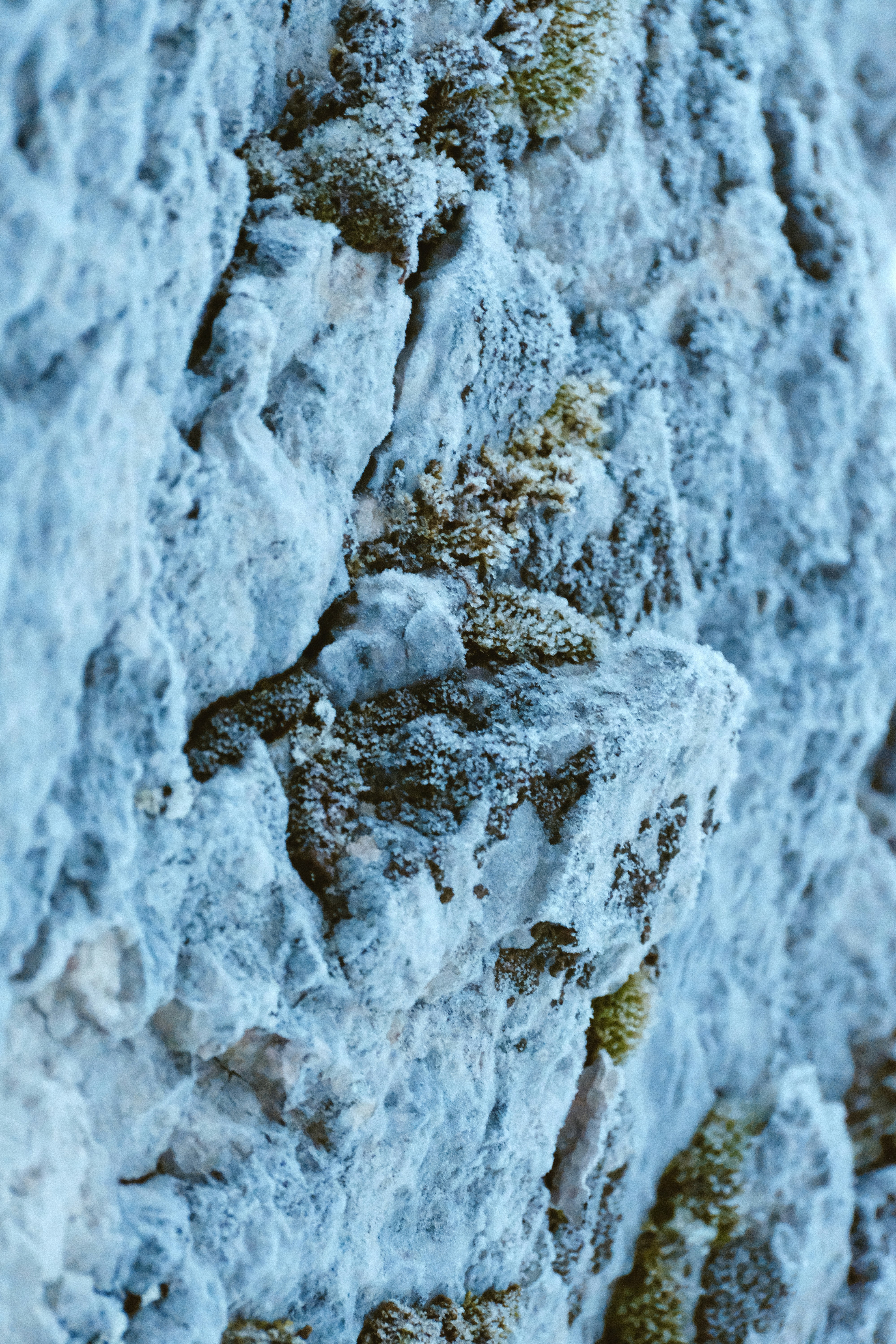 alpine a110 wallpaper, wallpaper, Alpine A110: A Modern Classic Sportscar 5