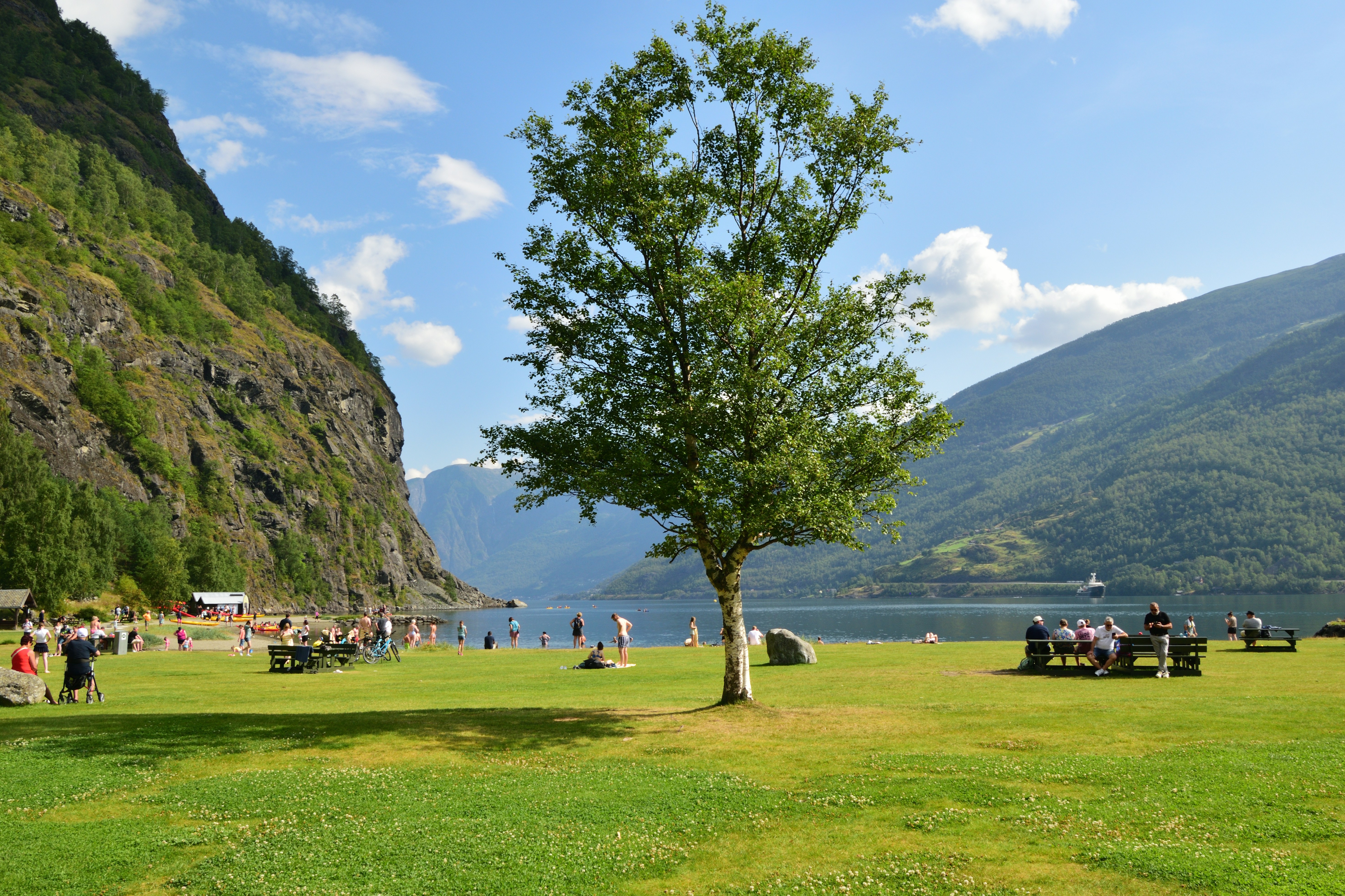 People relax on a grassy park by a scenic fjord.