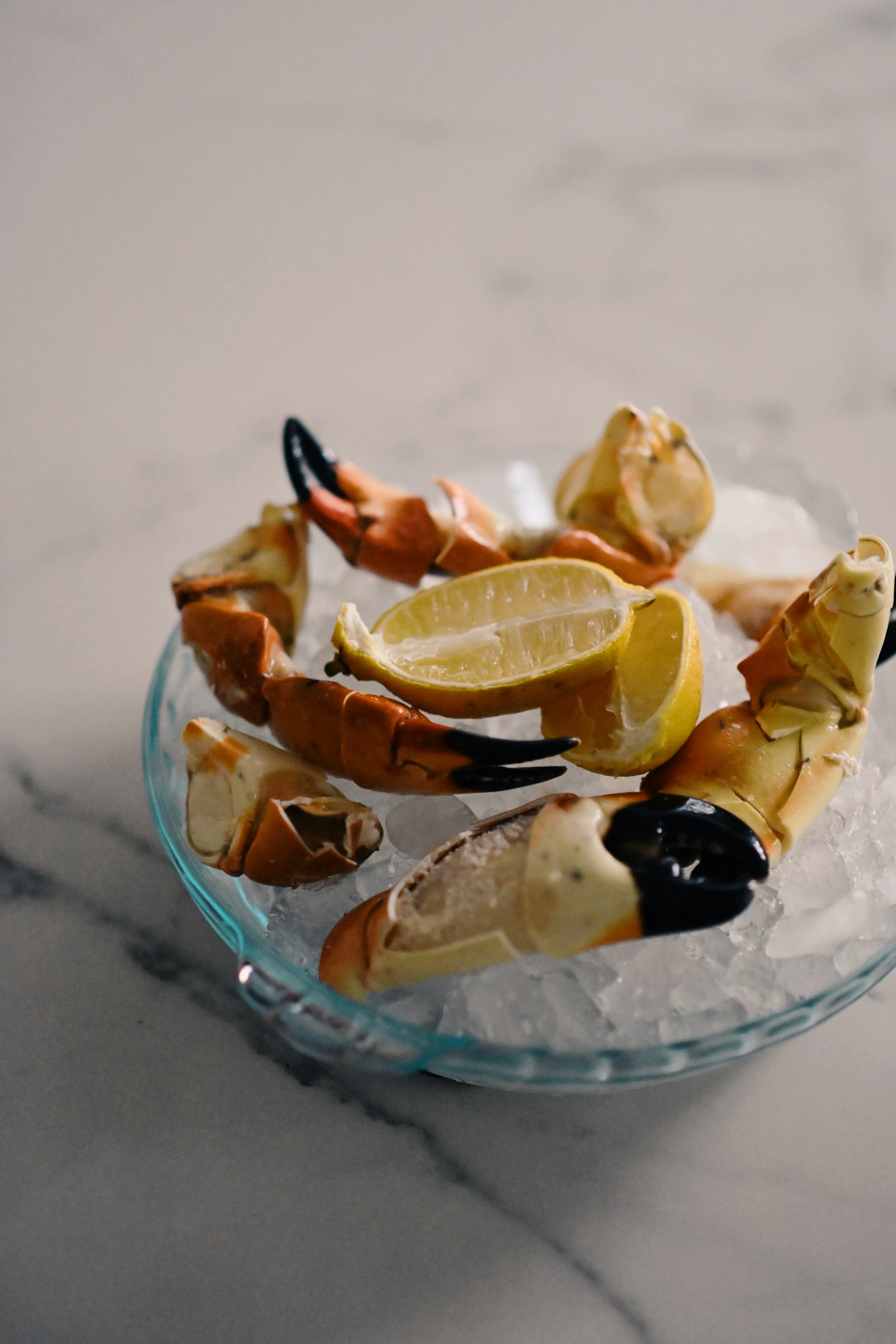 Florida stone crab claws, cracked and served cold on a bowl of ice with lemon wedges