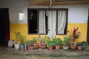 Gopalpur
