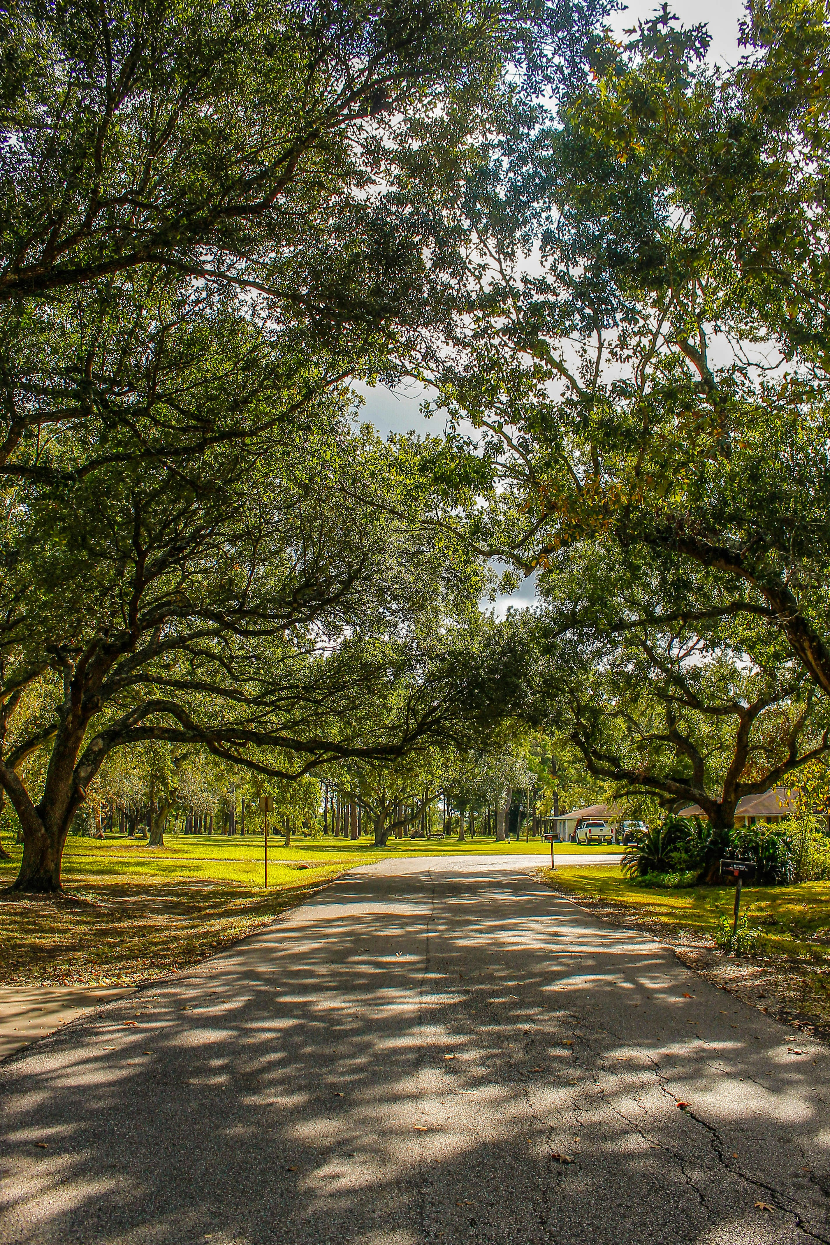 Photo by oilbird_productions