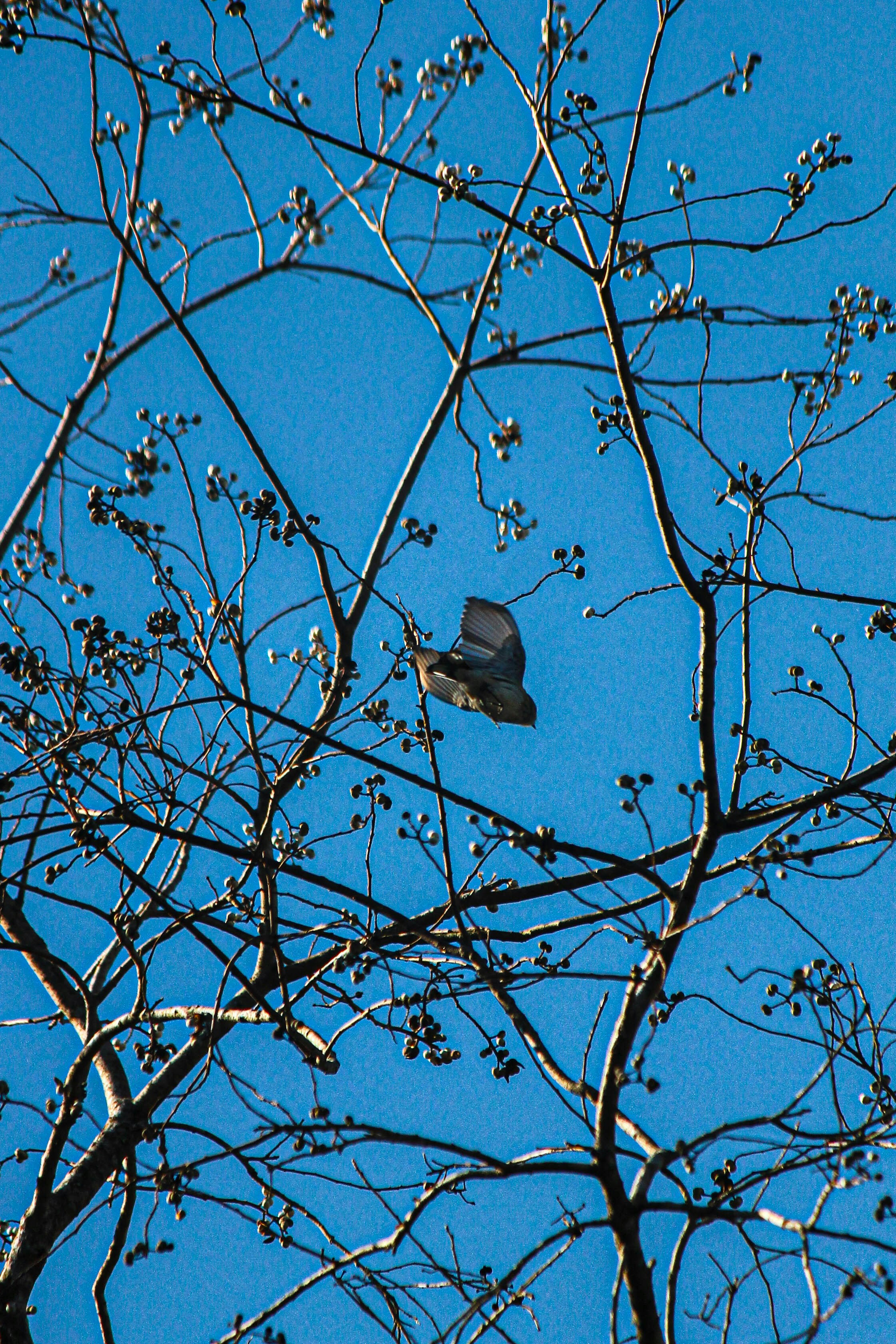 Photo by oilbird_productions