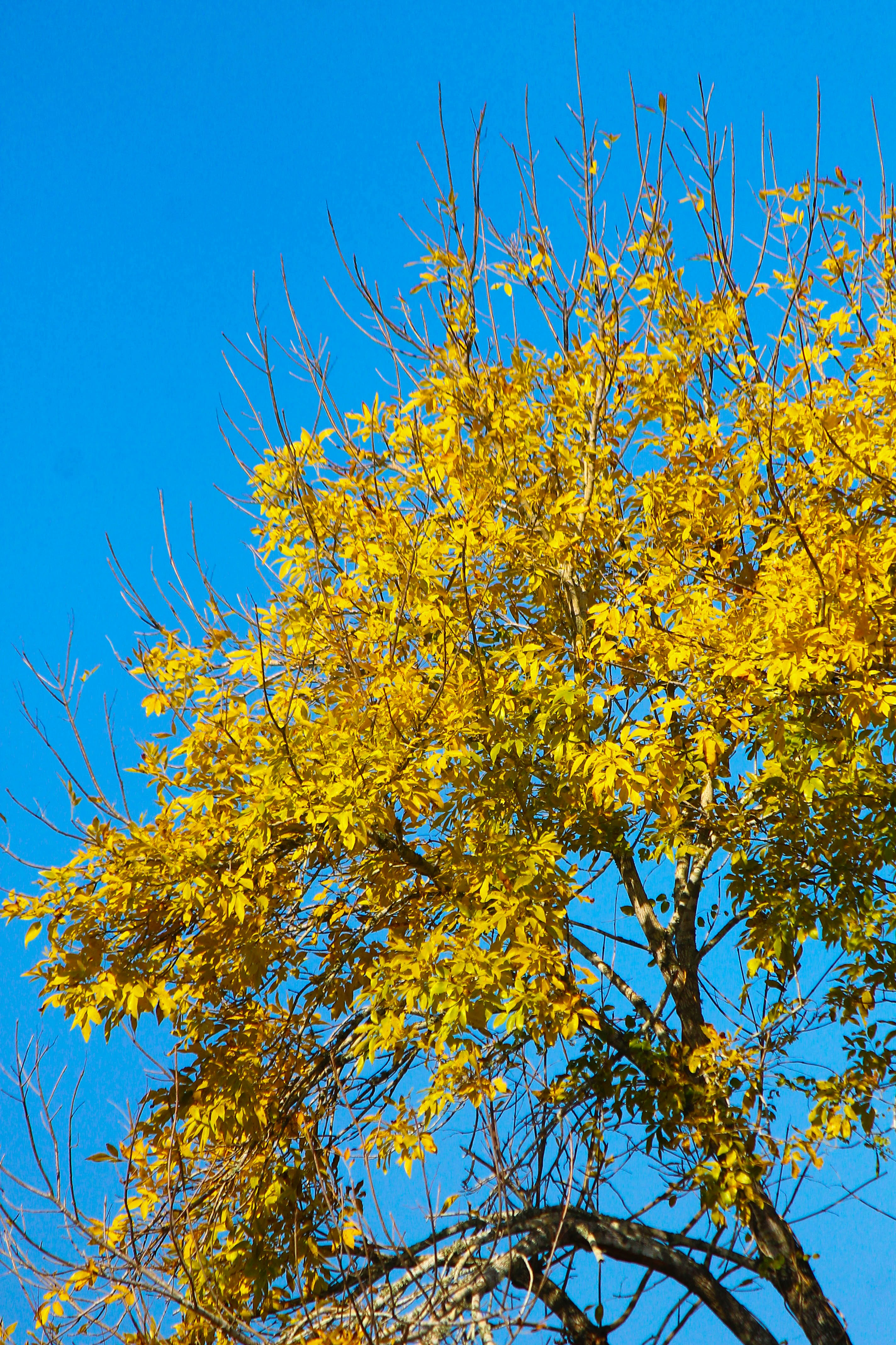 Photo by oilbird_productions