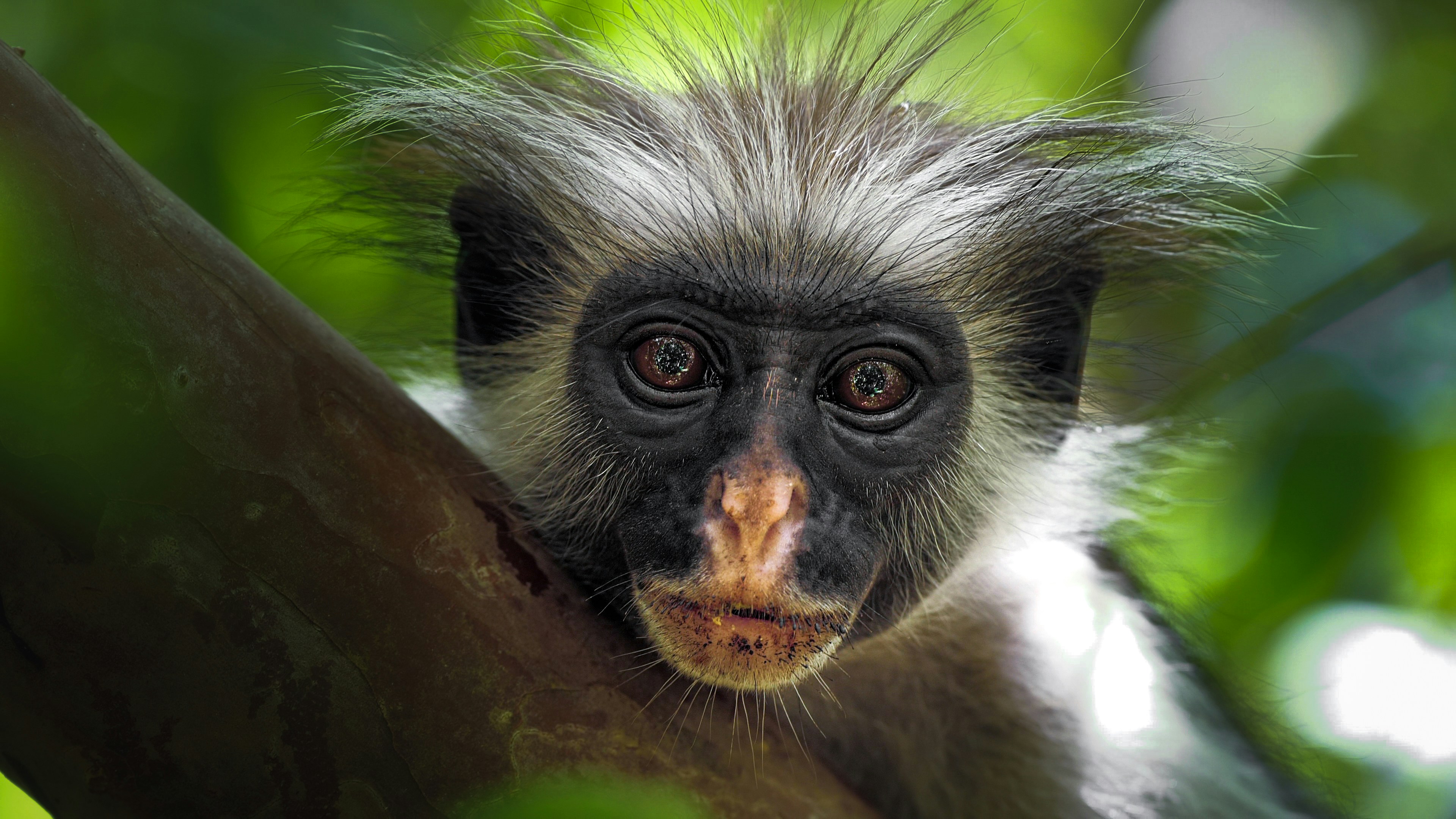 Photo by stanislav_stelmakhovich