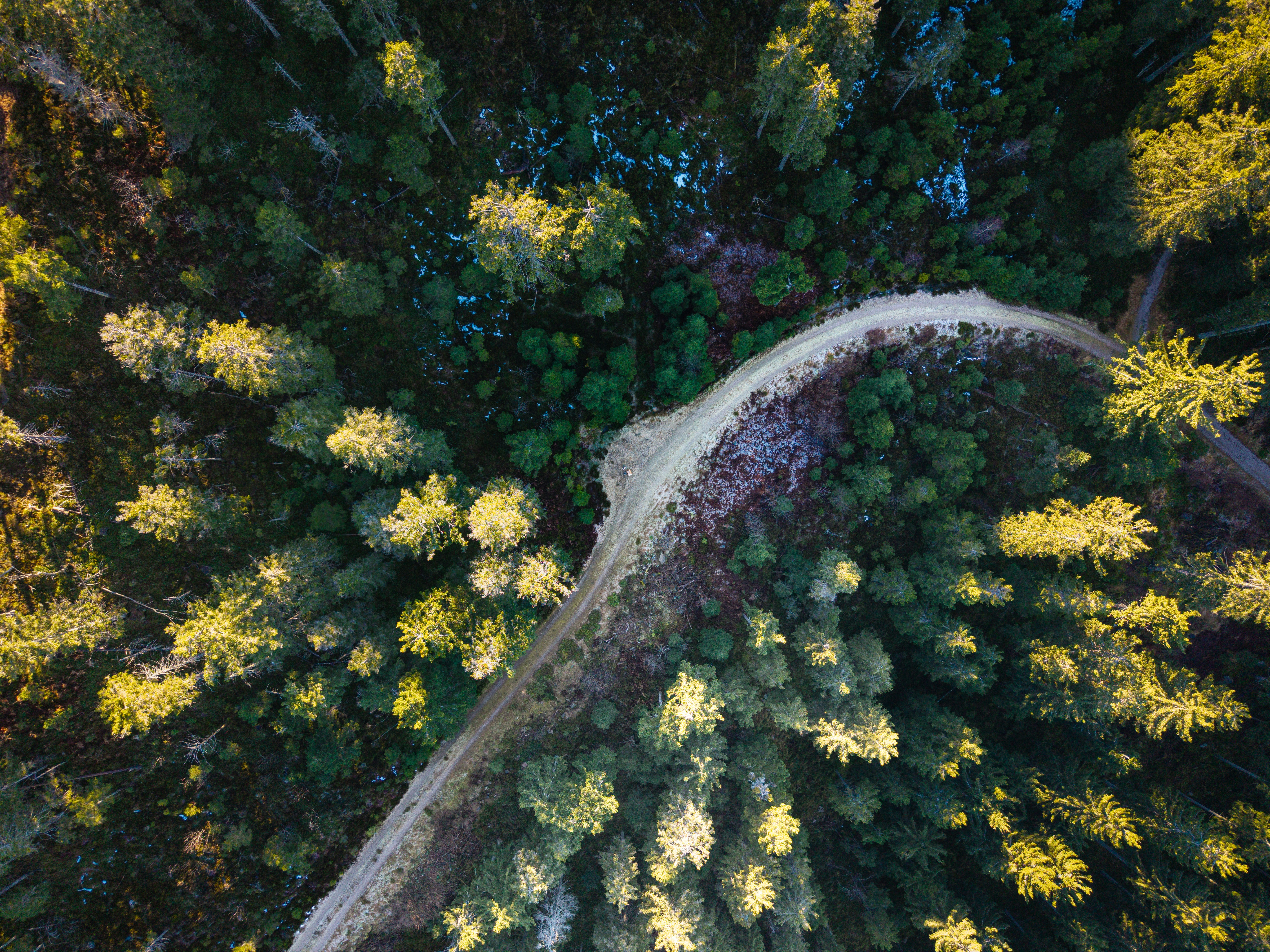 Photo by hdbernd