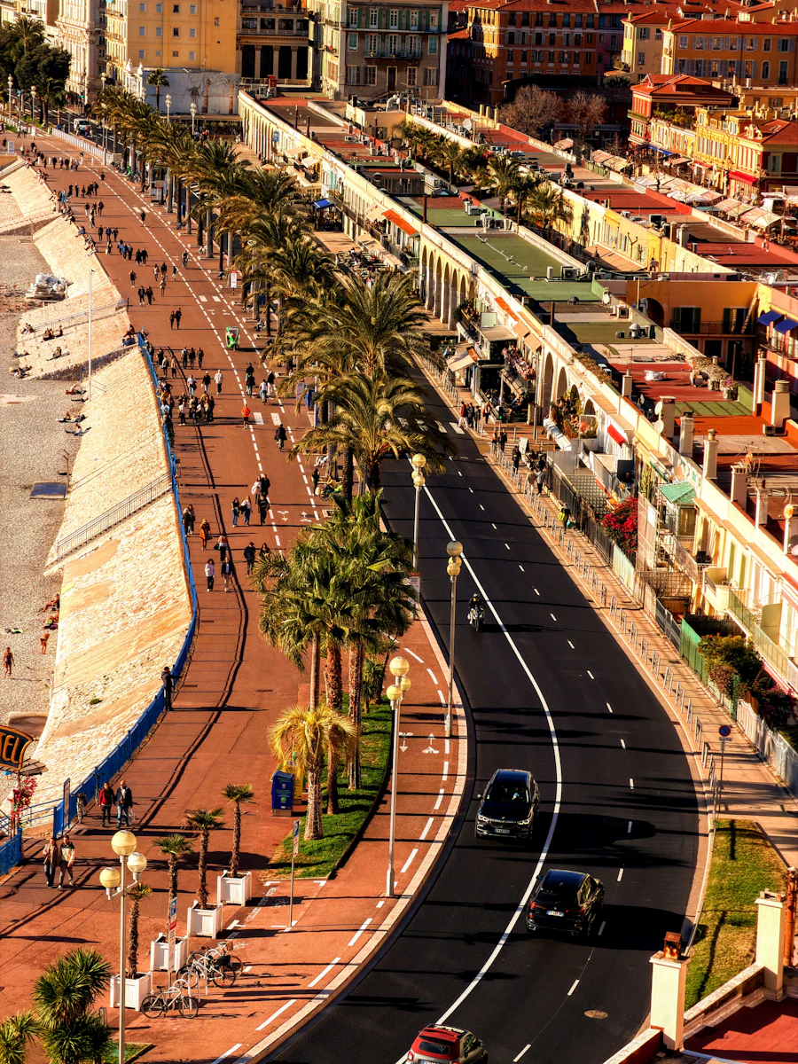 Palm-lined promenade along the French Riviera coastline